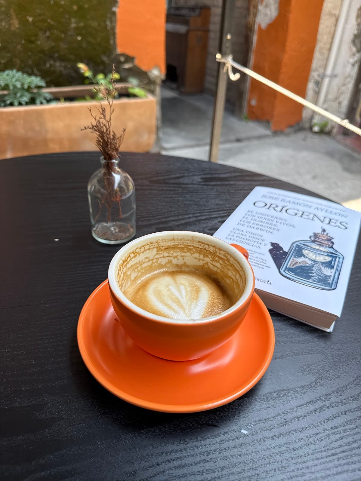 Seabird Coffee miniatura 4