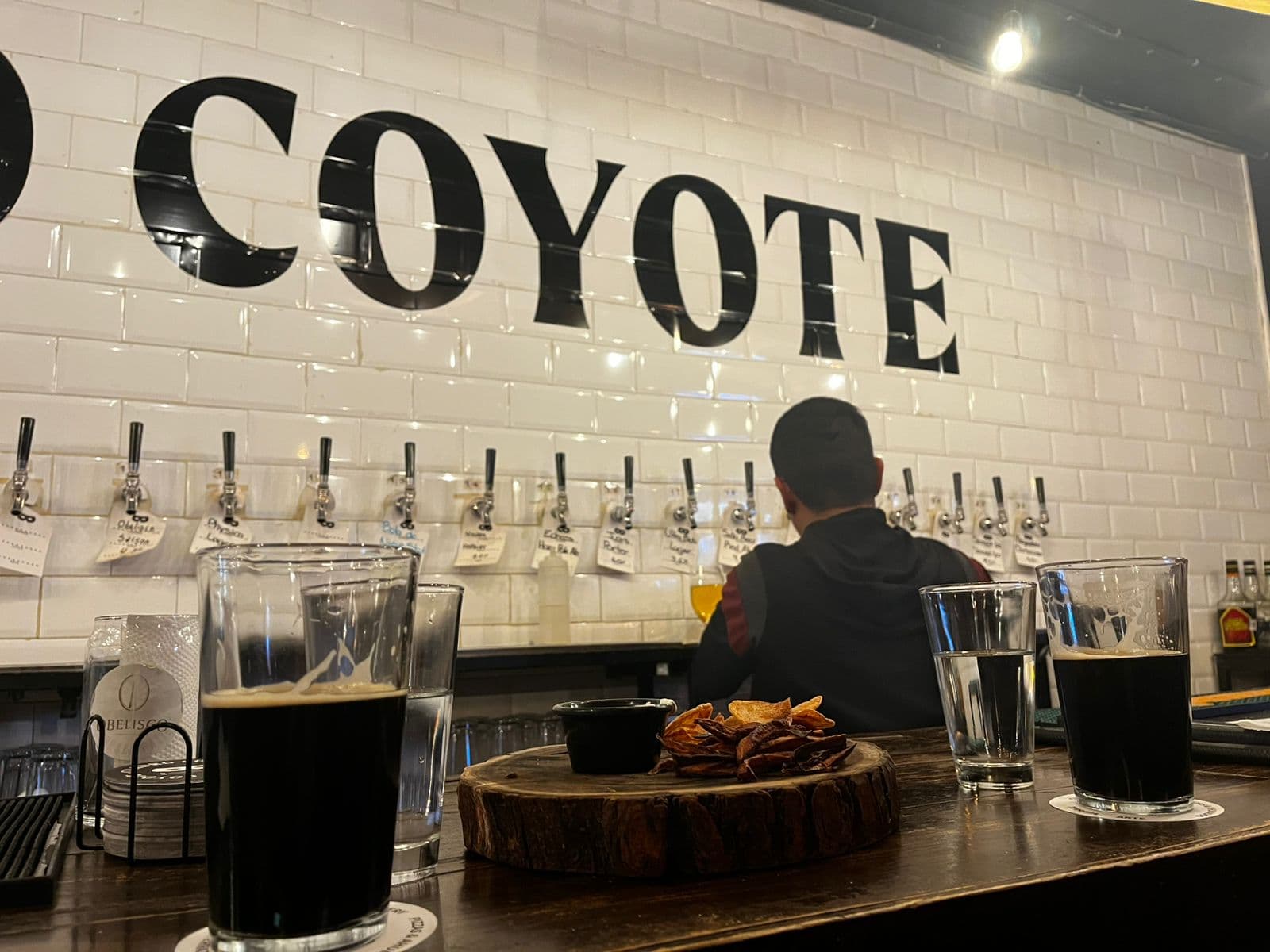 Cuadro Coyote miniatura 6