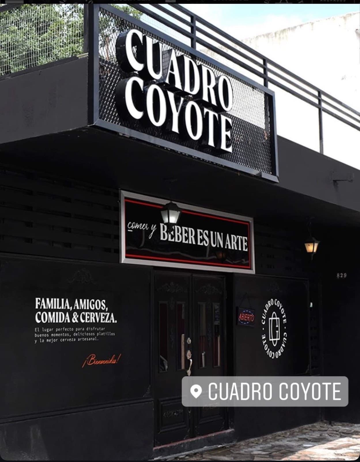Cuadro Coyote miniatura 10
