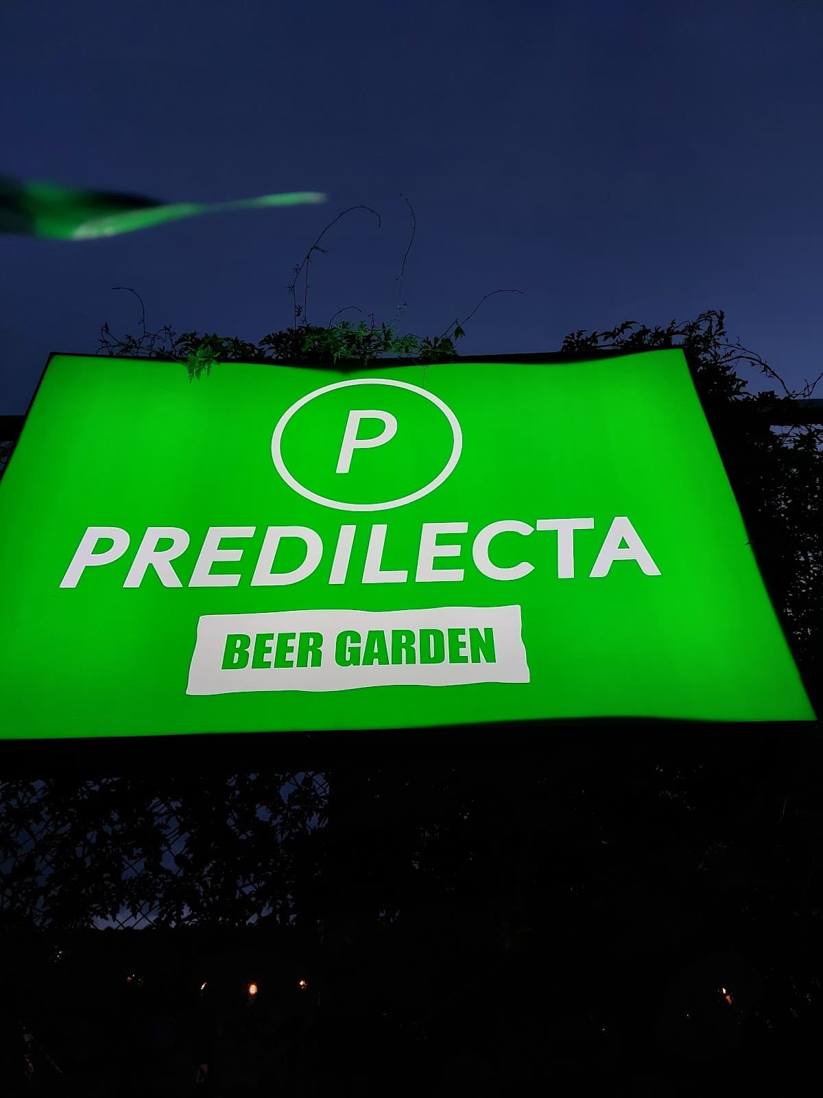 PREDILECTA BEER GARDEN miniatura 2