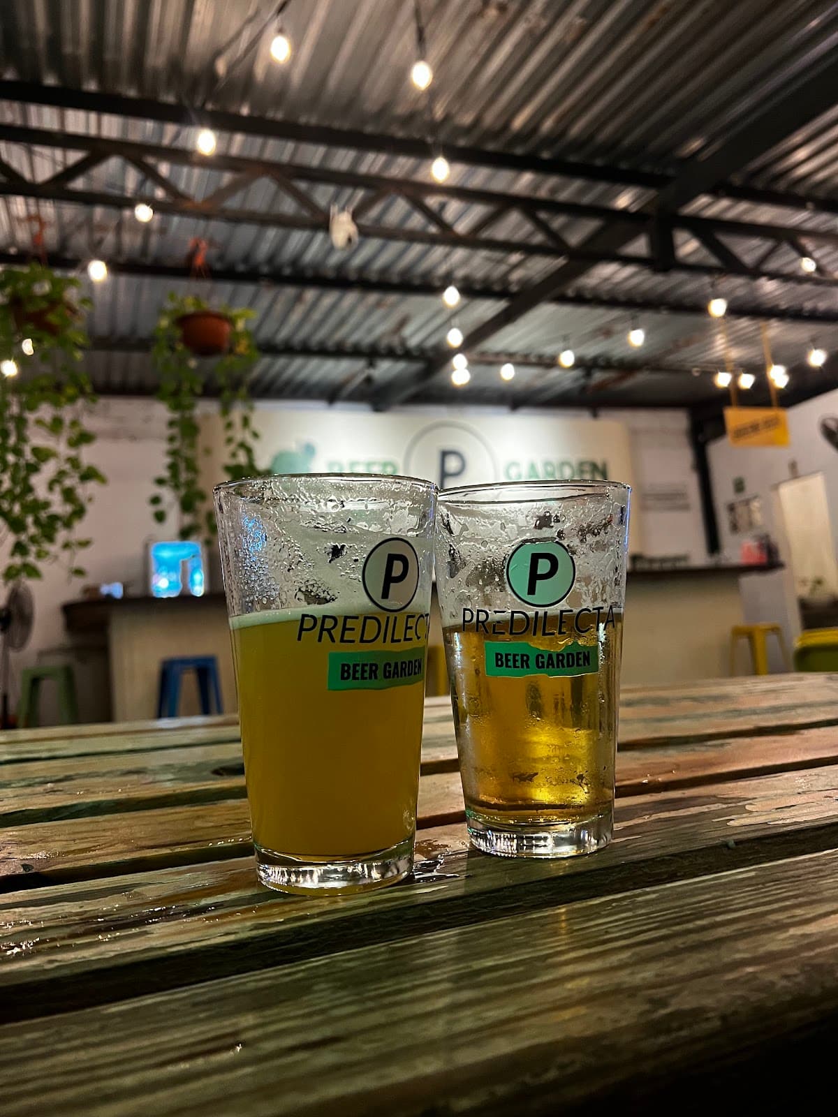 PREDILECTA BEER GARDEN miniatura 4