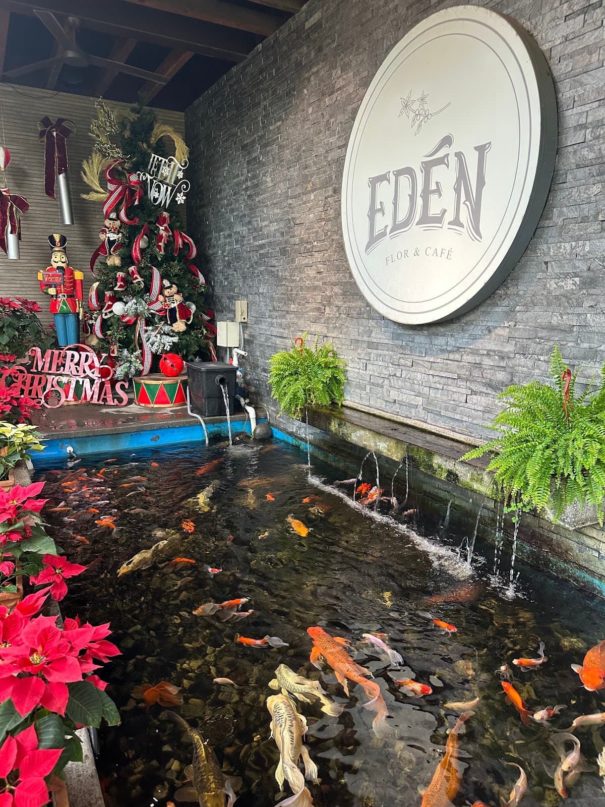 EDÉN FLOR Y CAFÉ miniatura 4