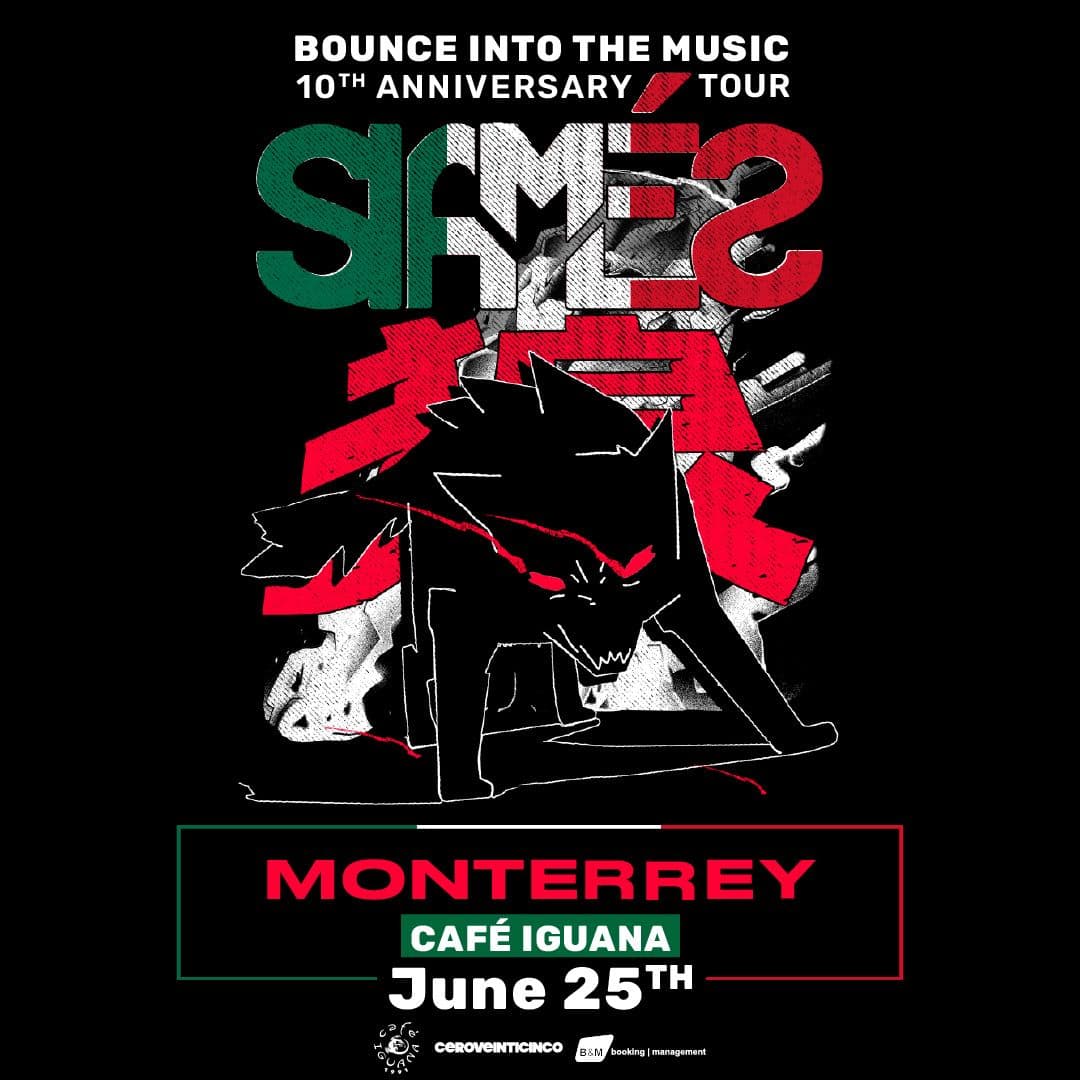 Siamés en Monterrey en Monterrey