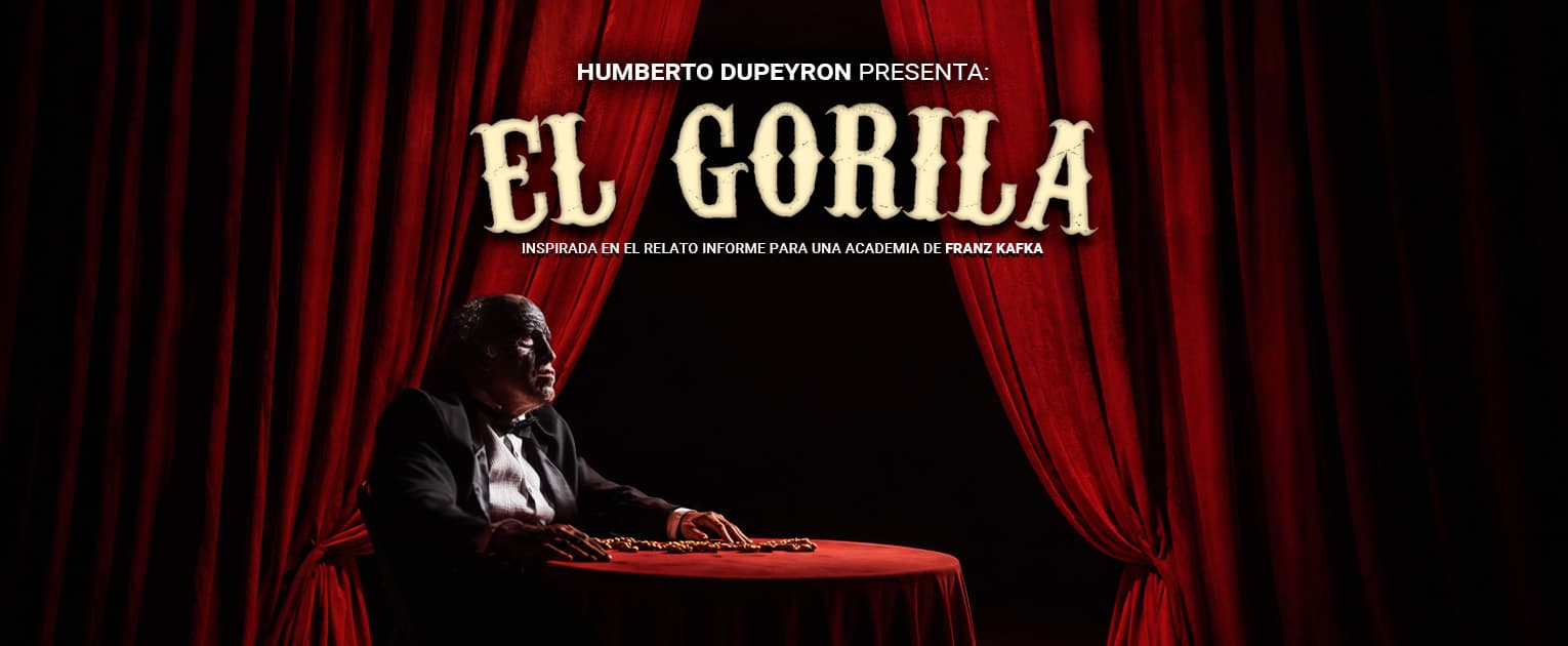El Gorila en Guadalajara