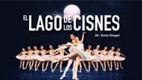 Fondo promocional del evento Lago de los Cisnes