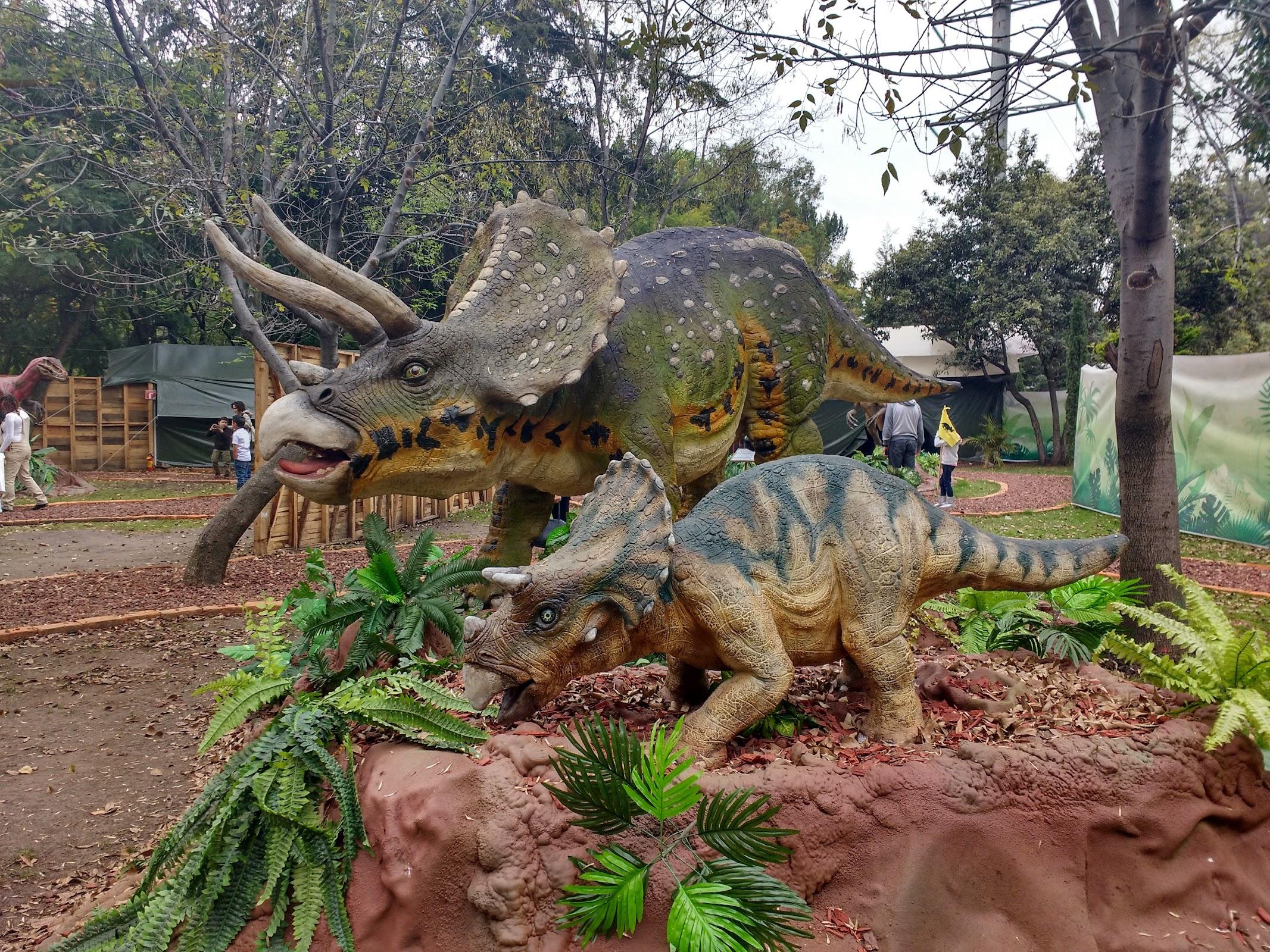 Parque El Batán galería 7