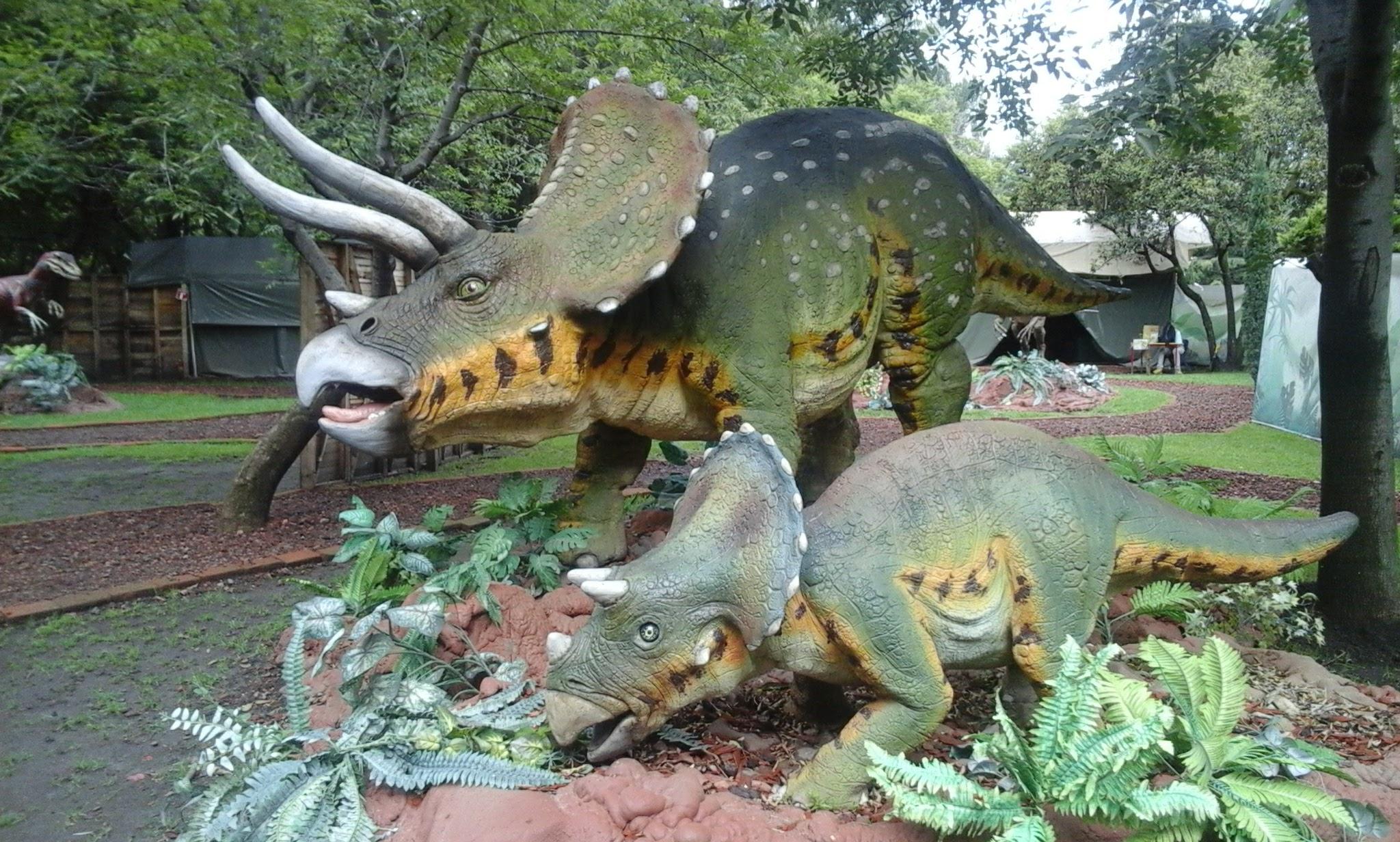 Parque El Batán galería 8