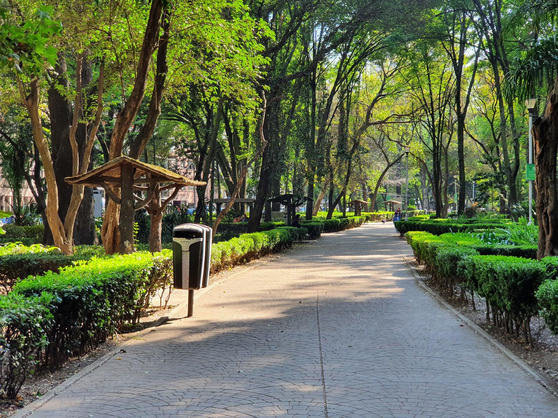 Parque México galería 2