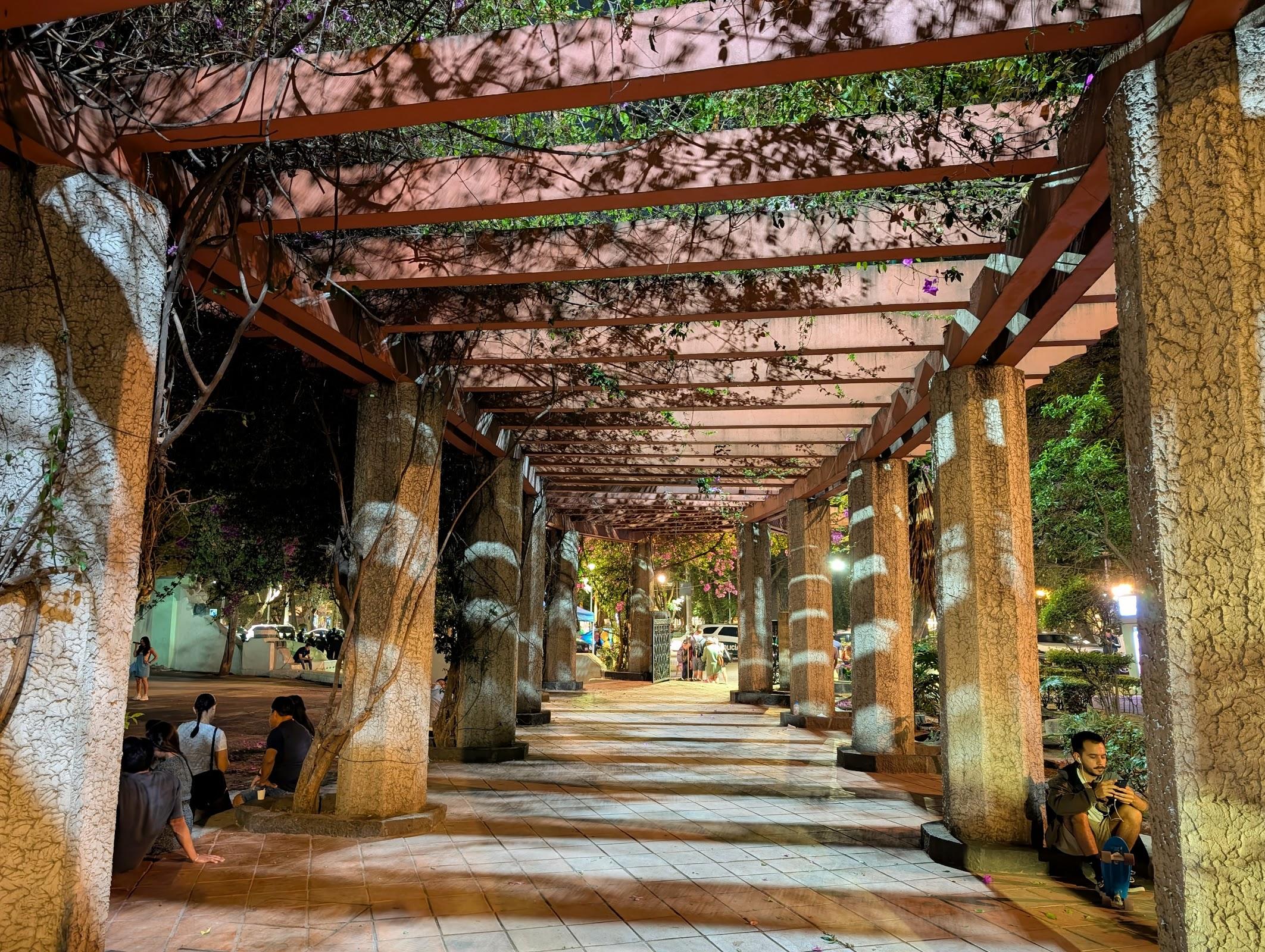 Parque México galería 6