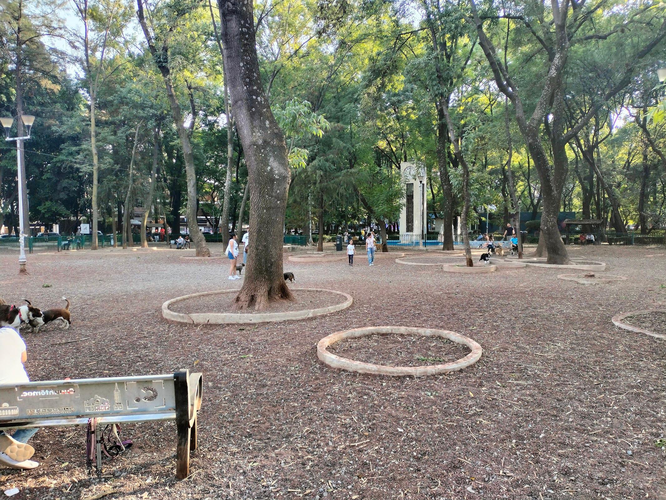 Parque México galería 7