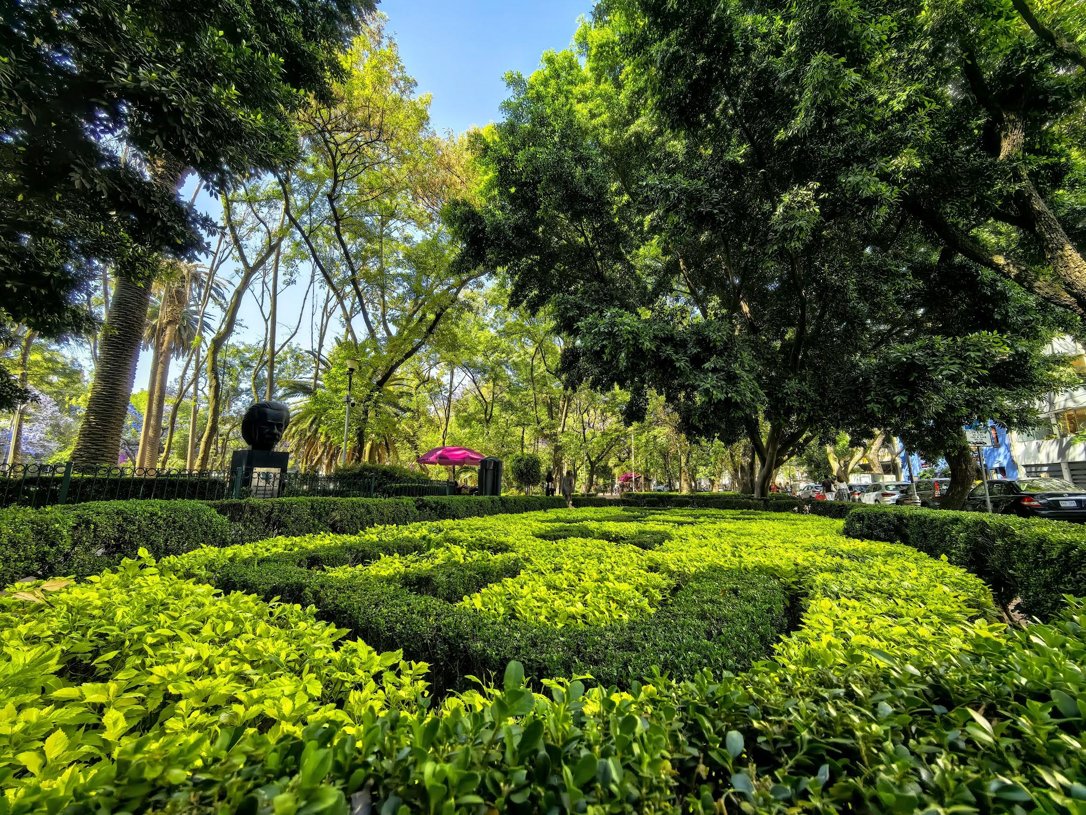 Parque México galería 8