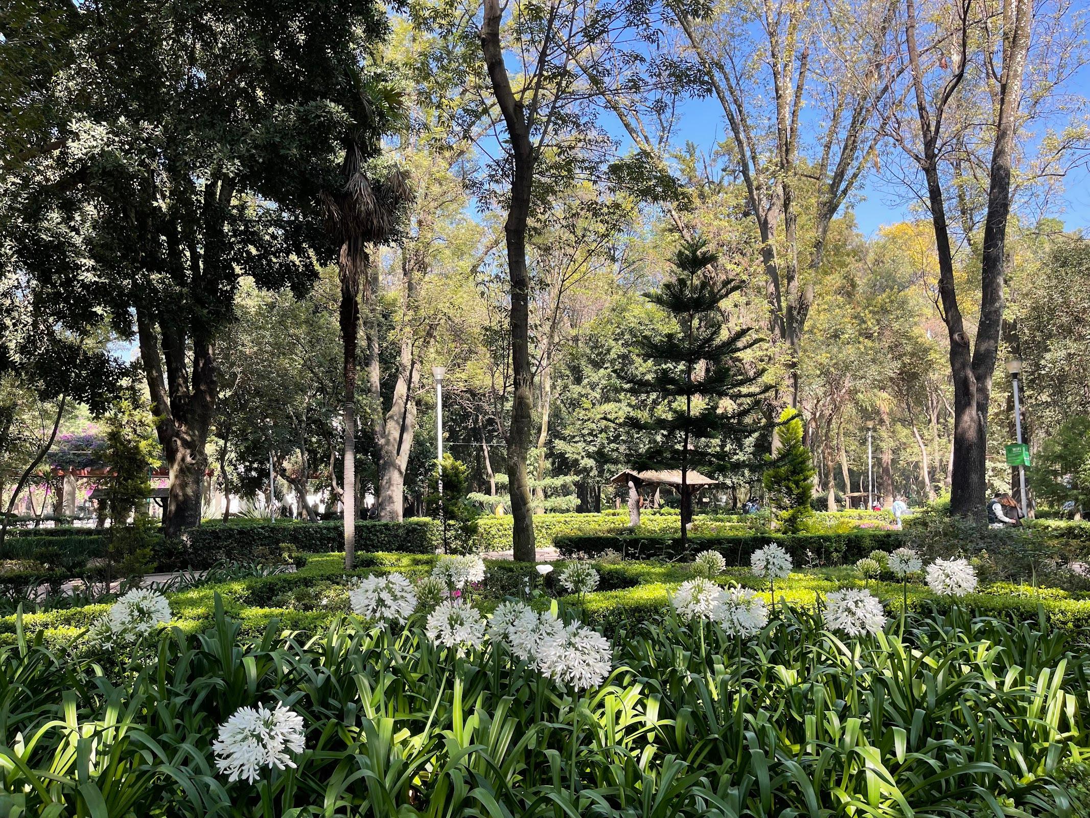 Parque México galería 9