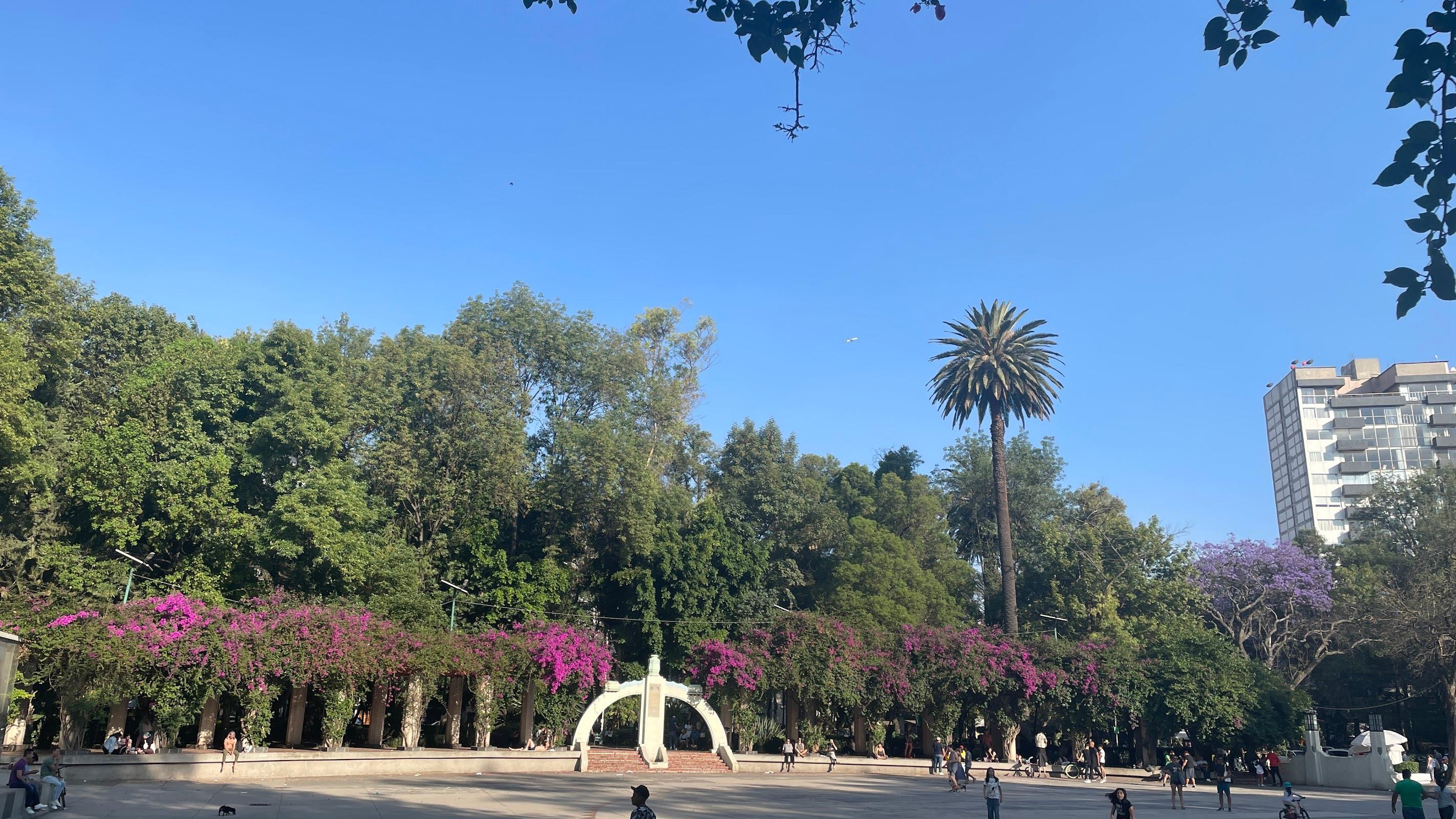 Parque México galería 10