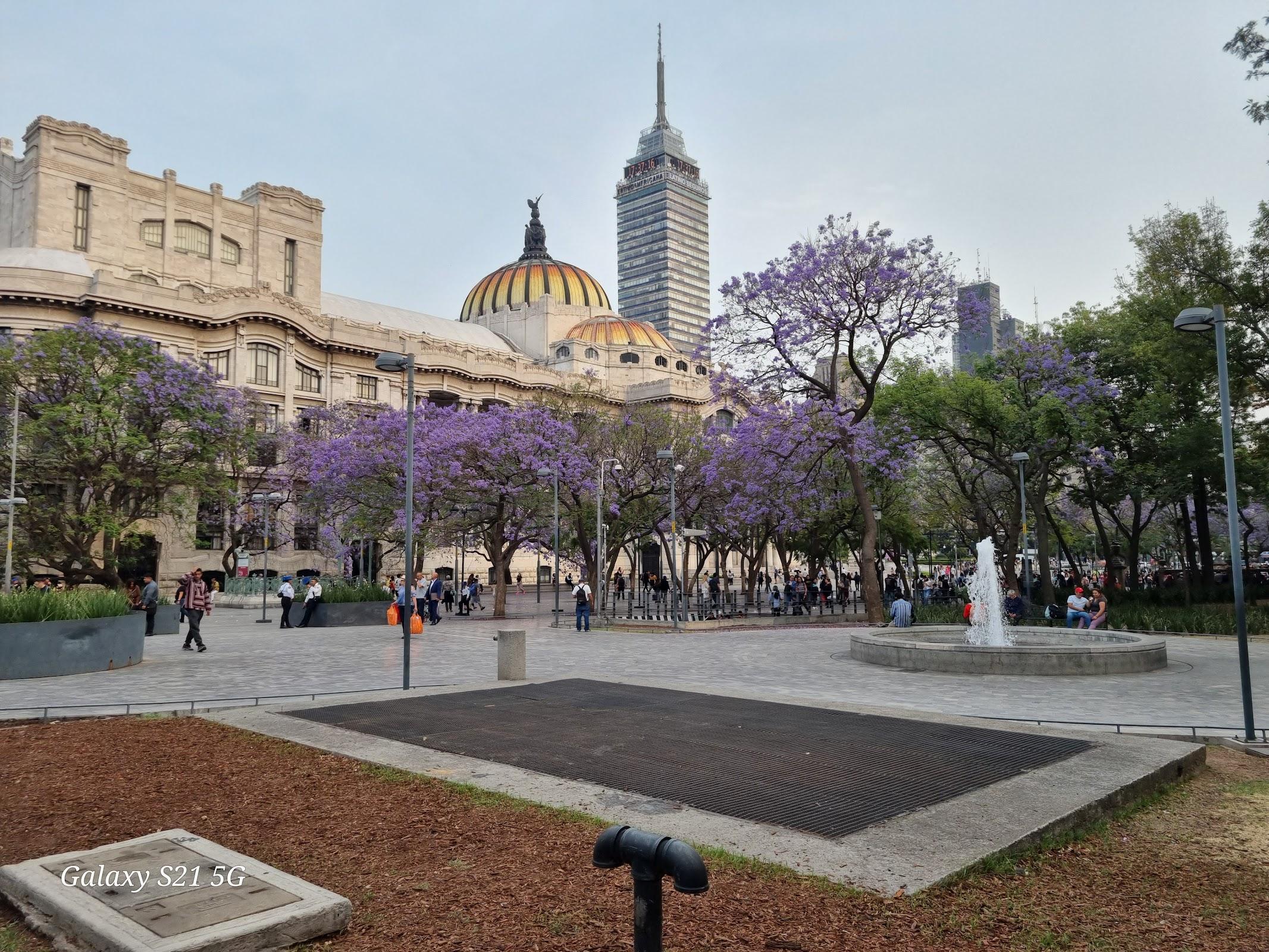 Alameda Central galería 9