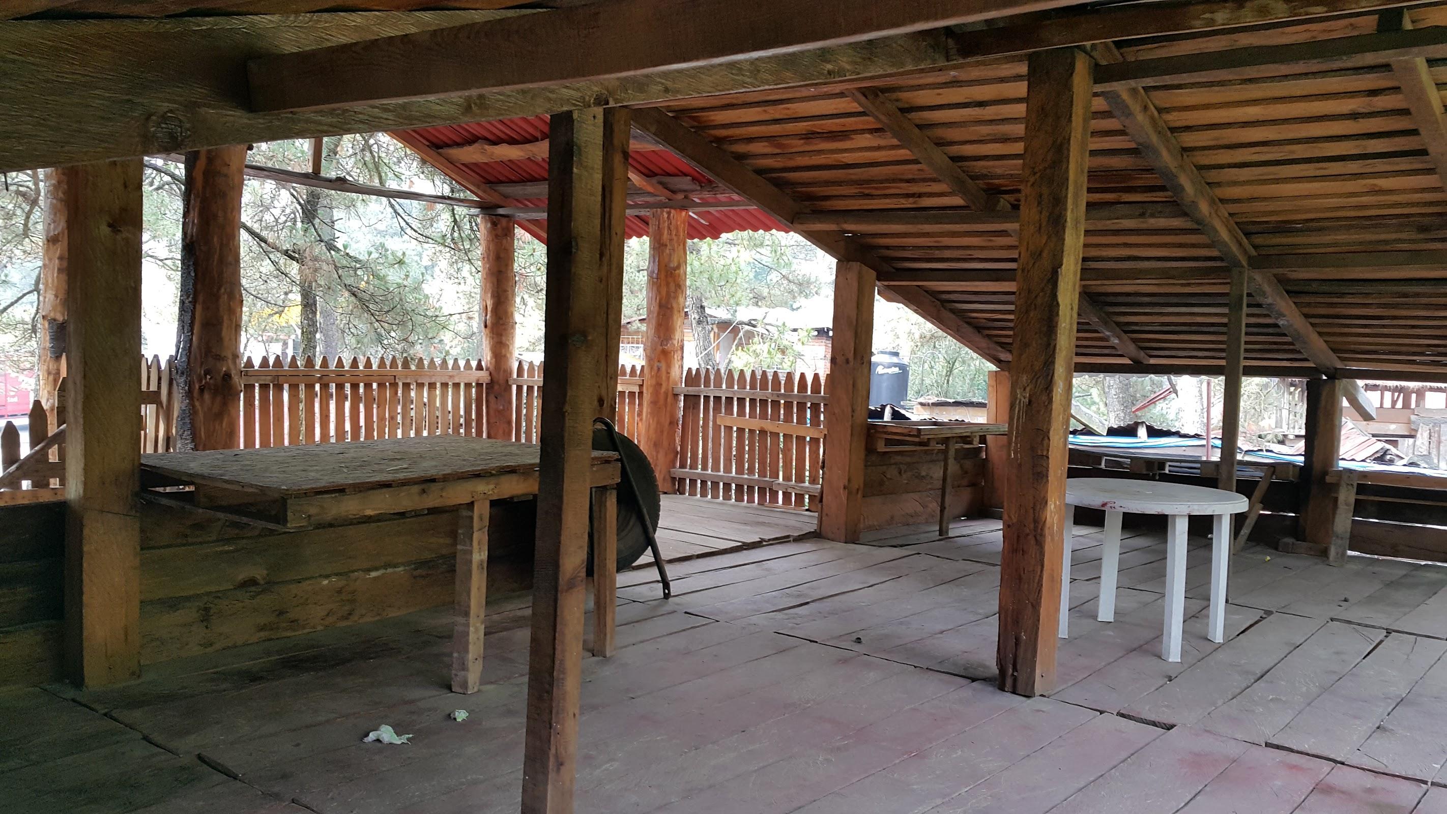 Gotcha Raptors galería 4