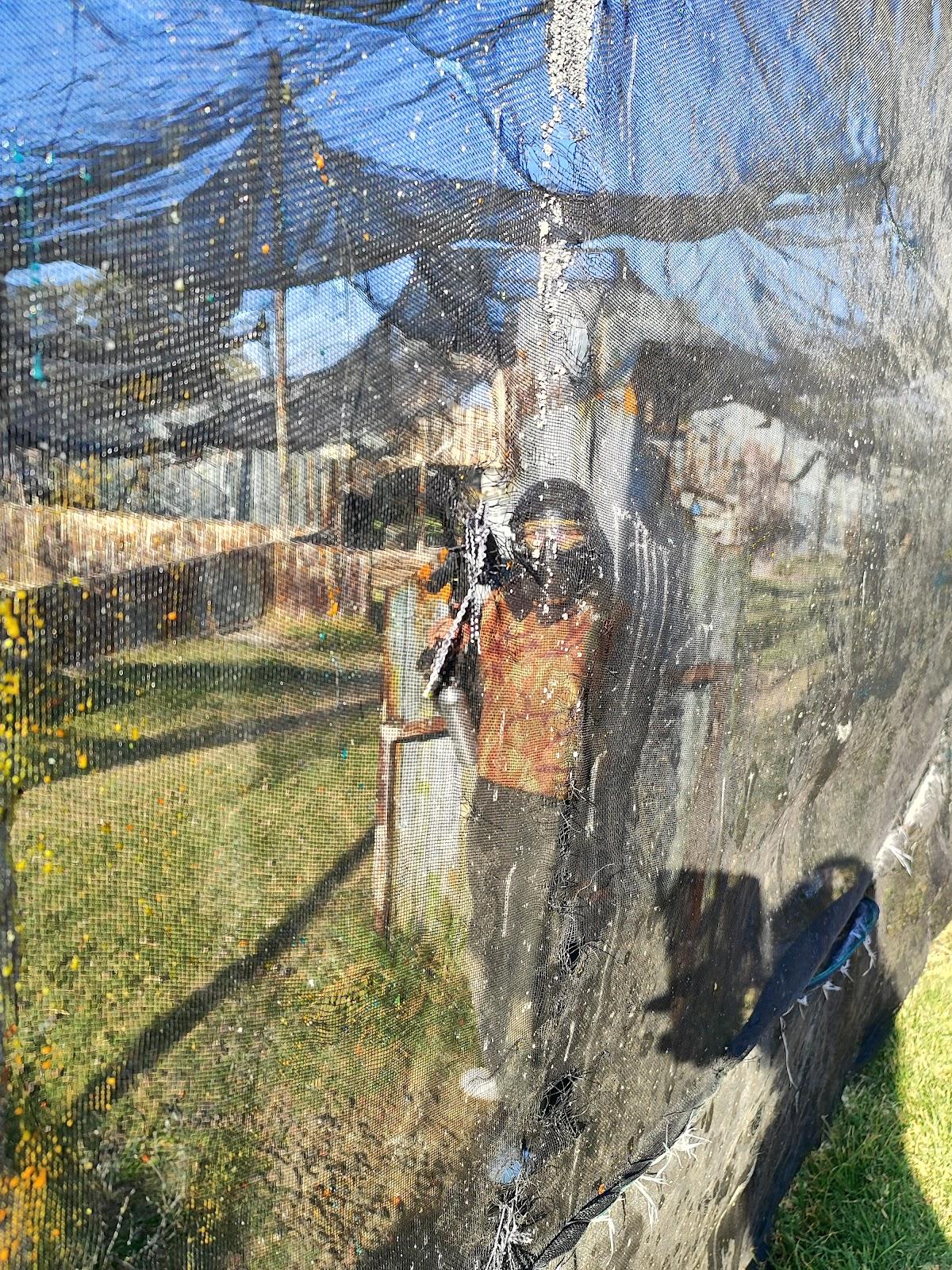 Gotchamania Santa Fé galería 6