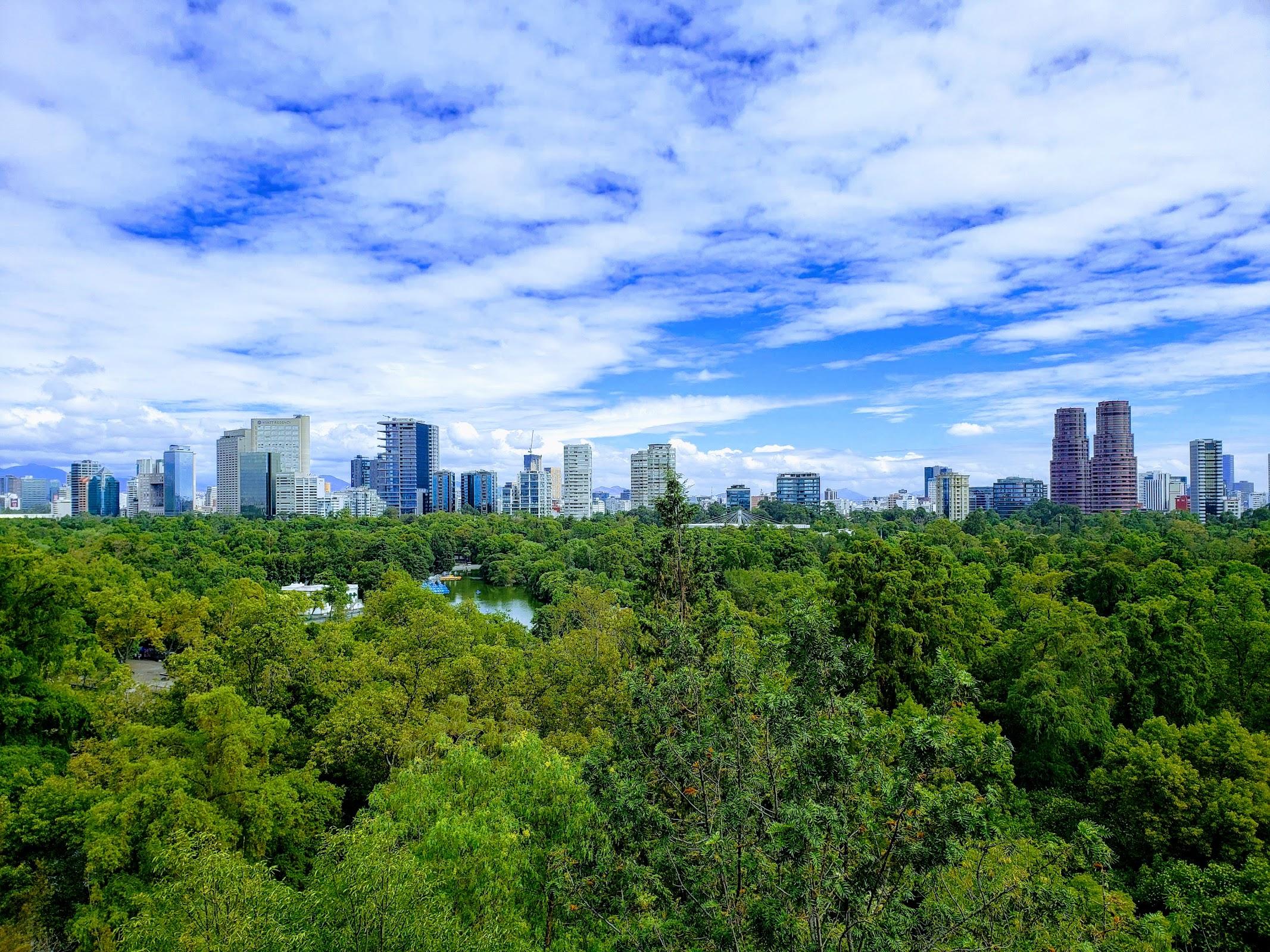 Bosque de Chapultepec galería 4