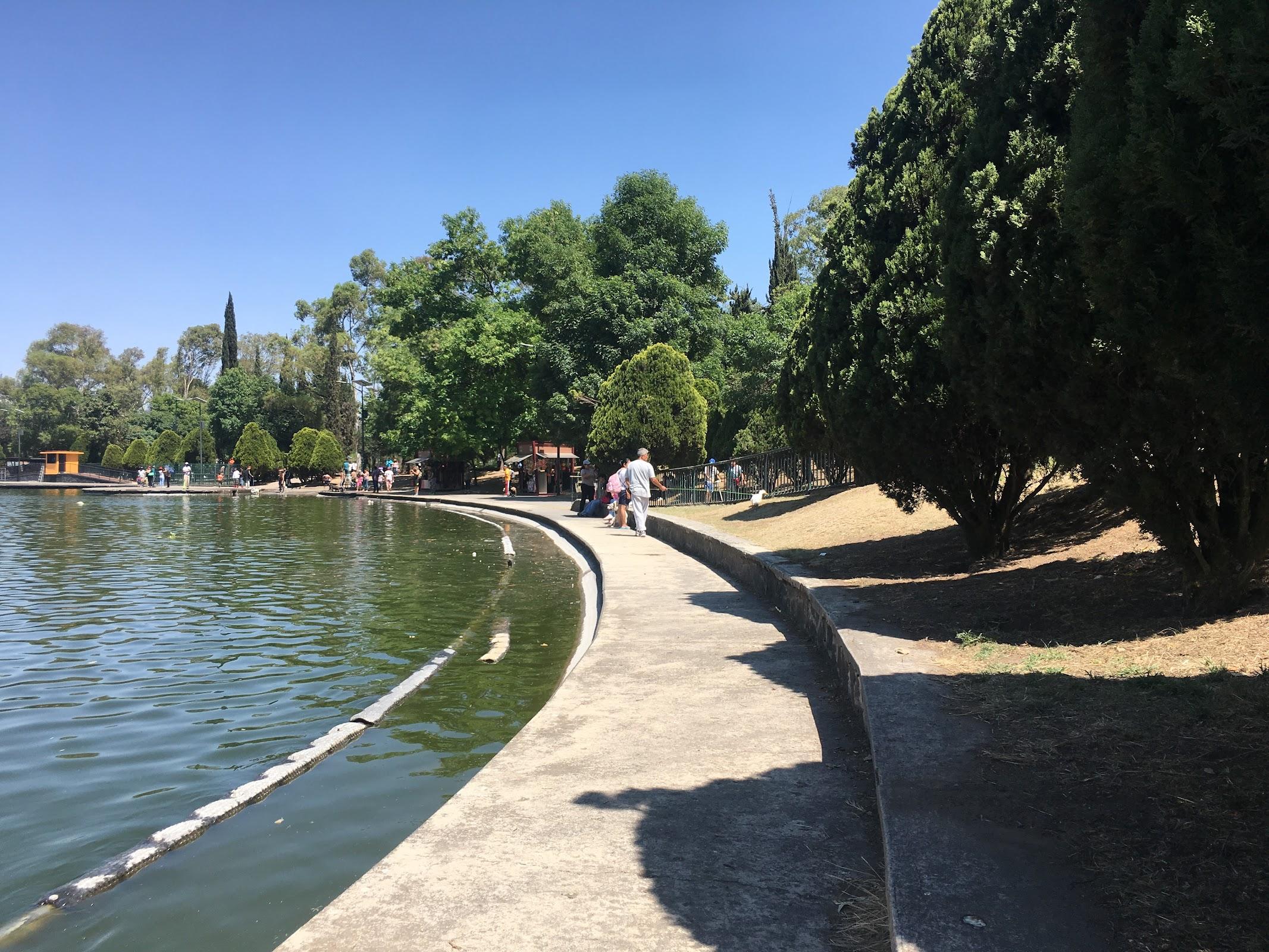 Bosque de Chapultepec galería 5