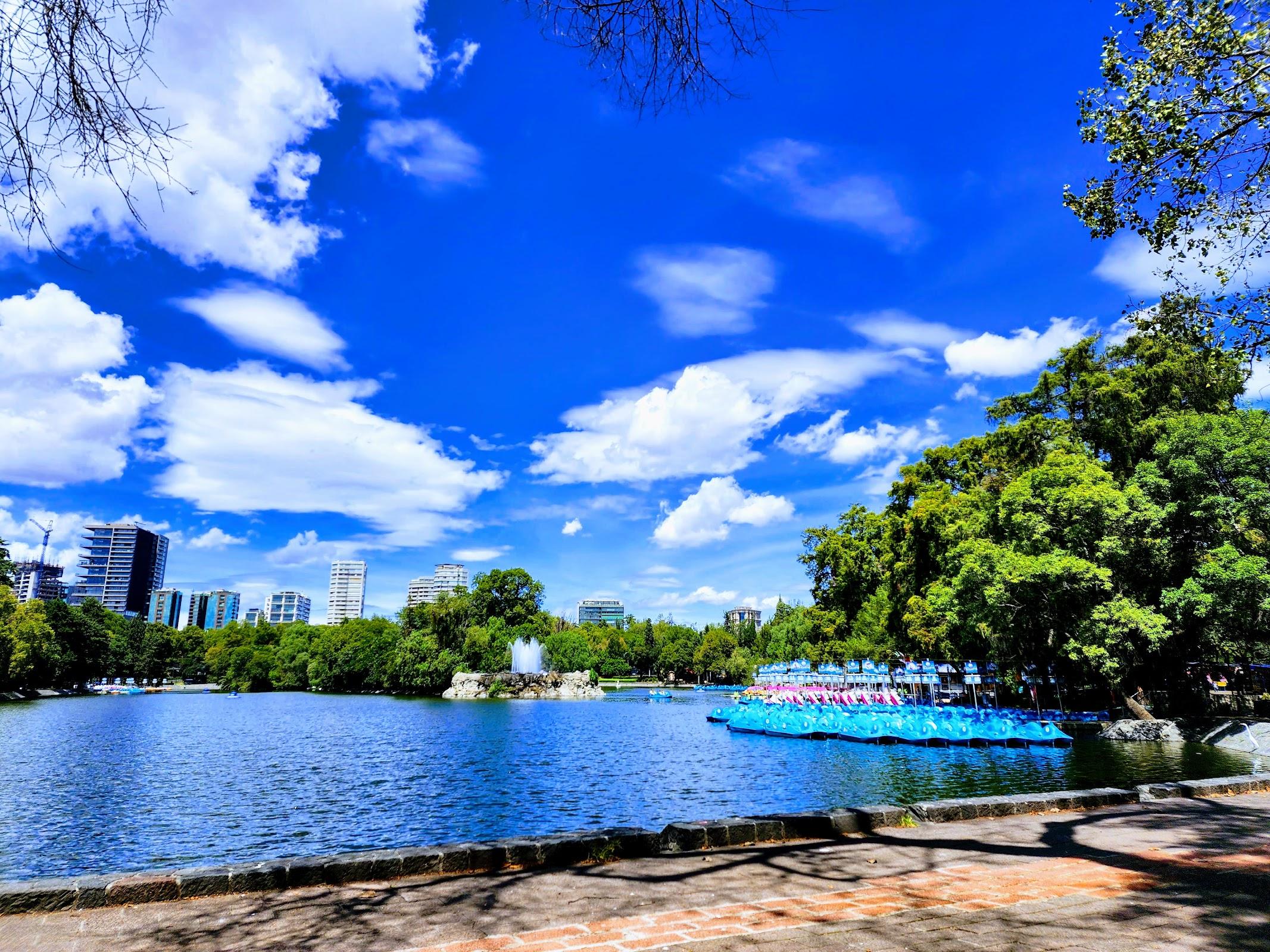 Bosque de Chapultepec galería 6
