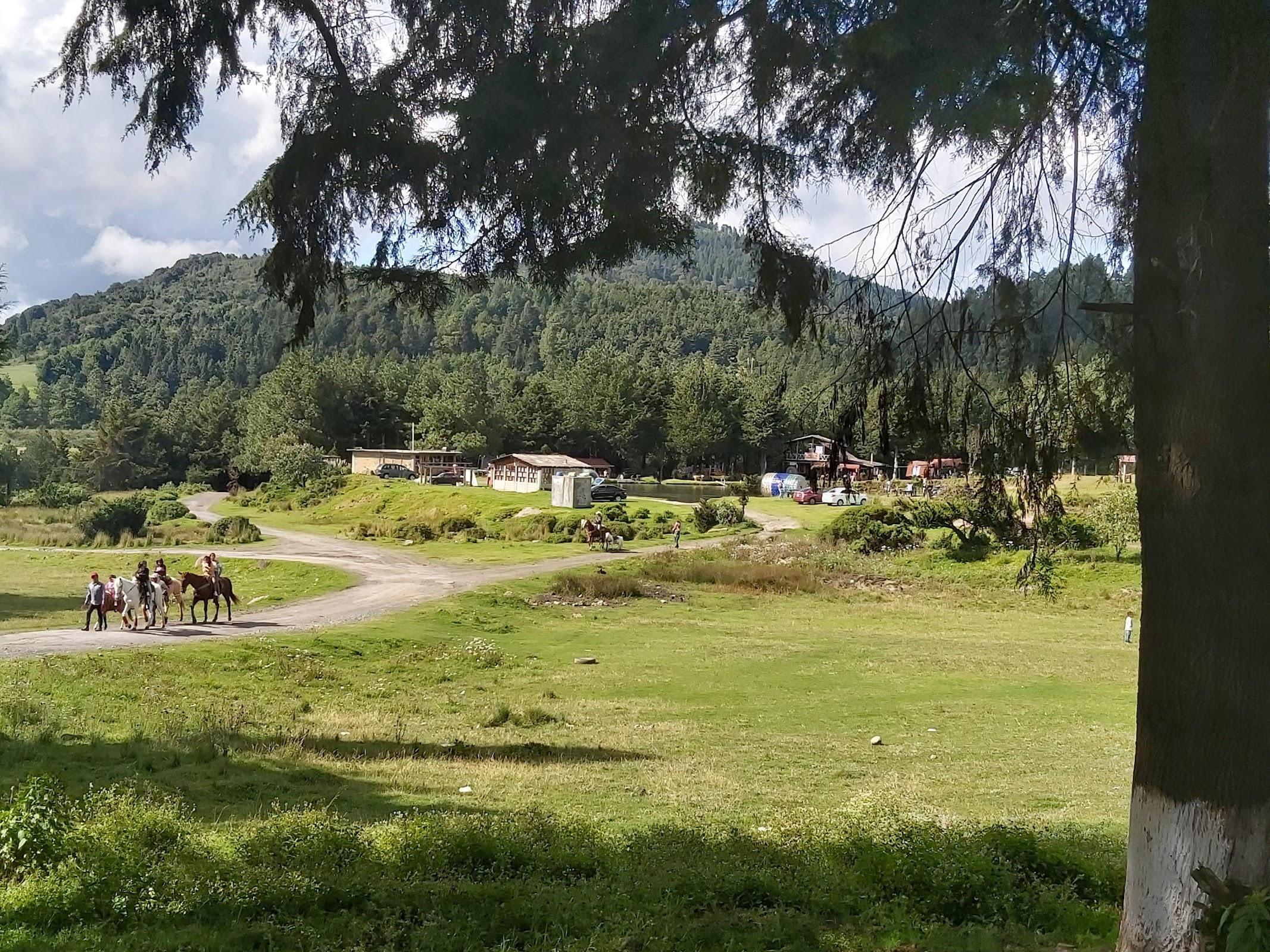 La Marquesa galería 5