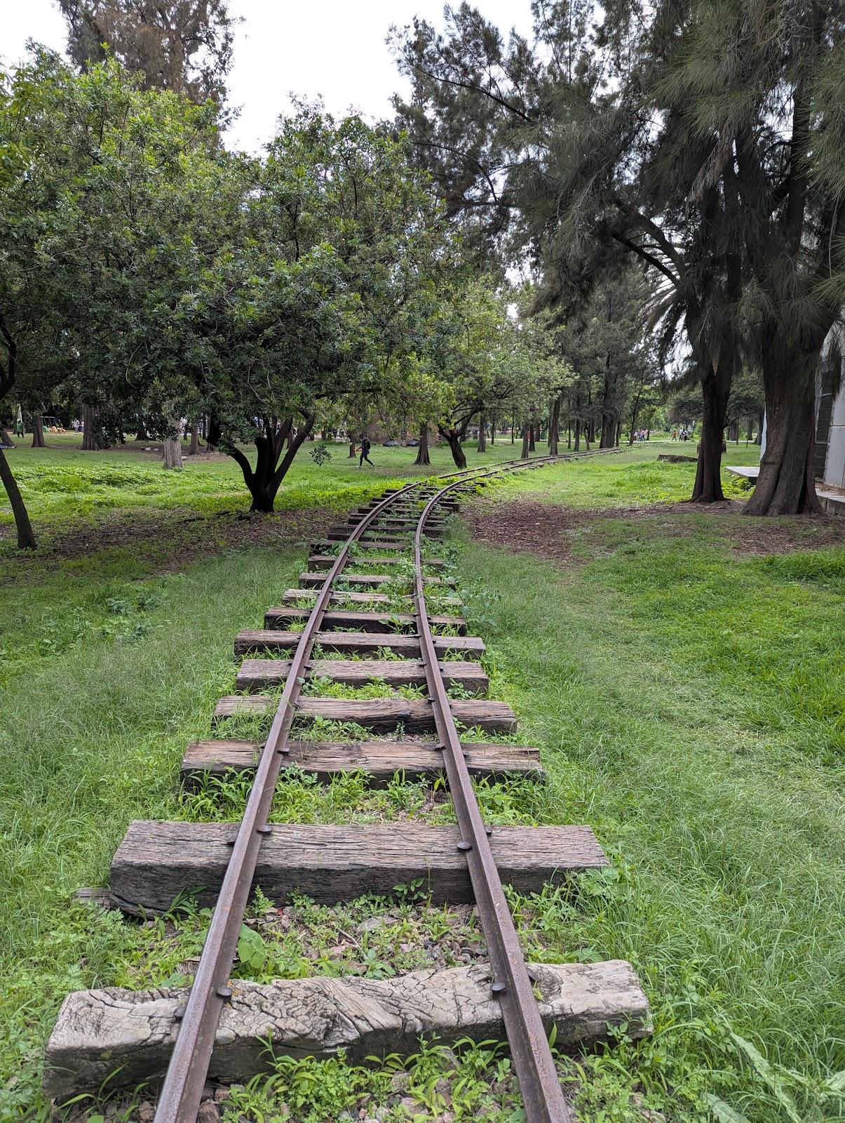 Bosque de San Juan de Aragón en Ciudad de México