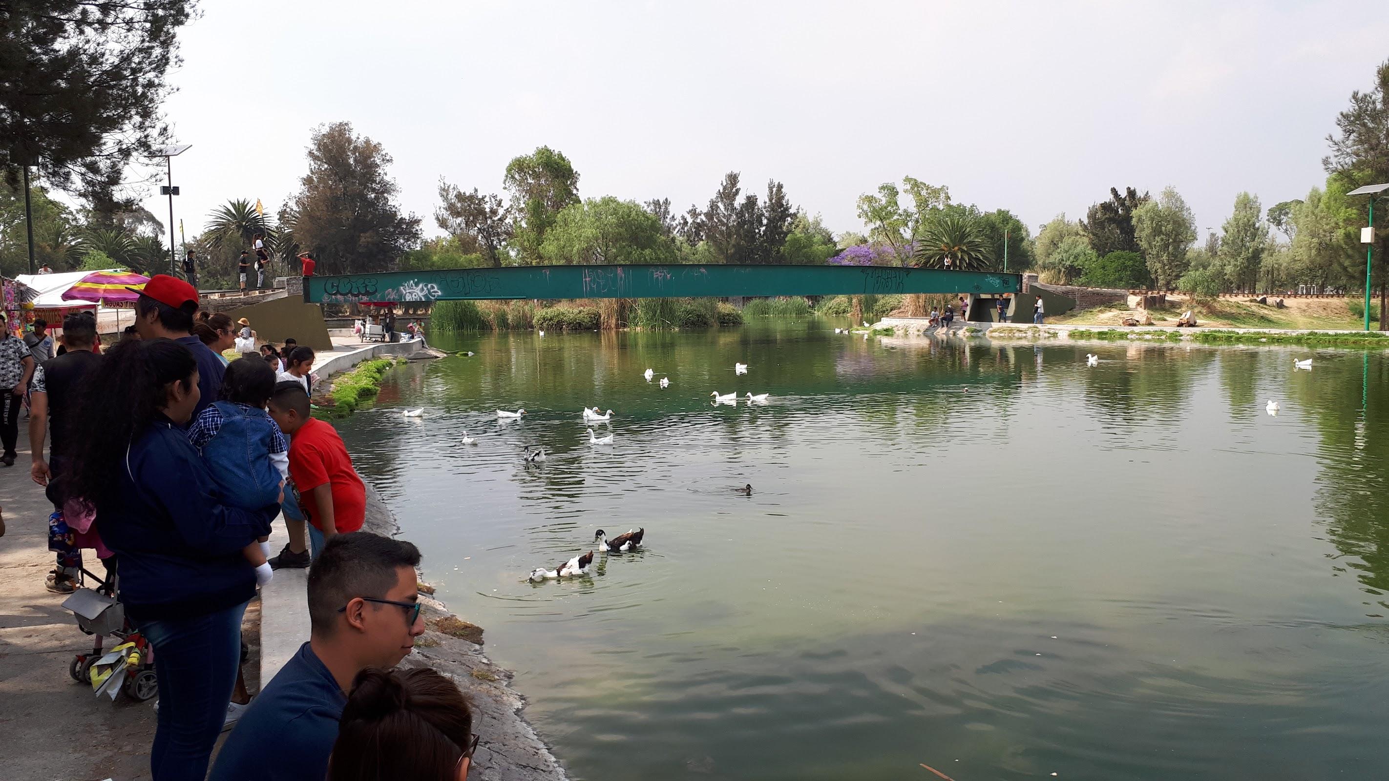 Bosque de San Juan de Aragón galería 2
