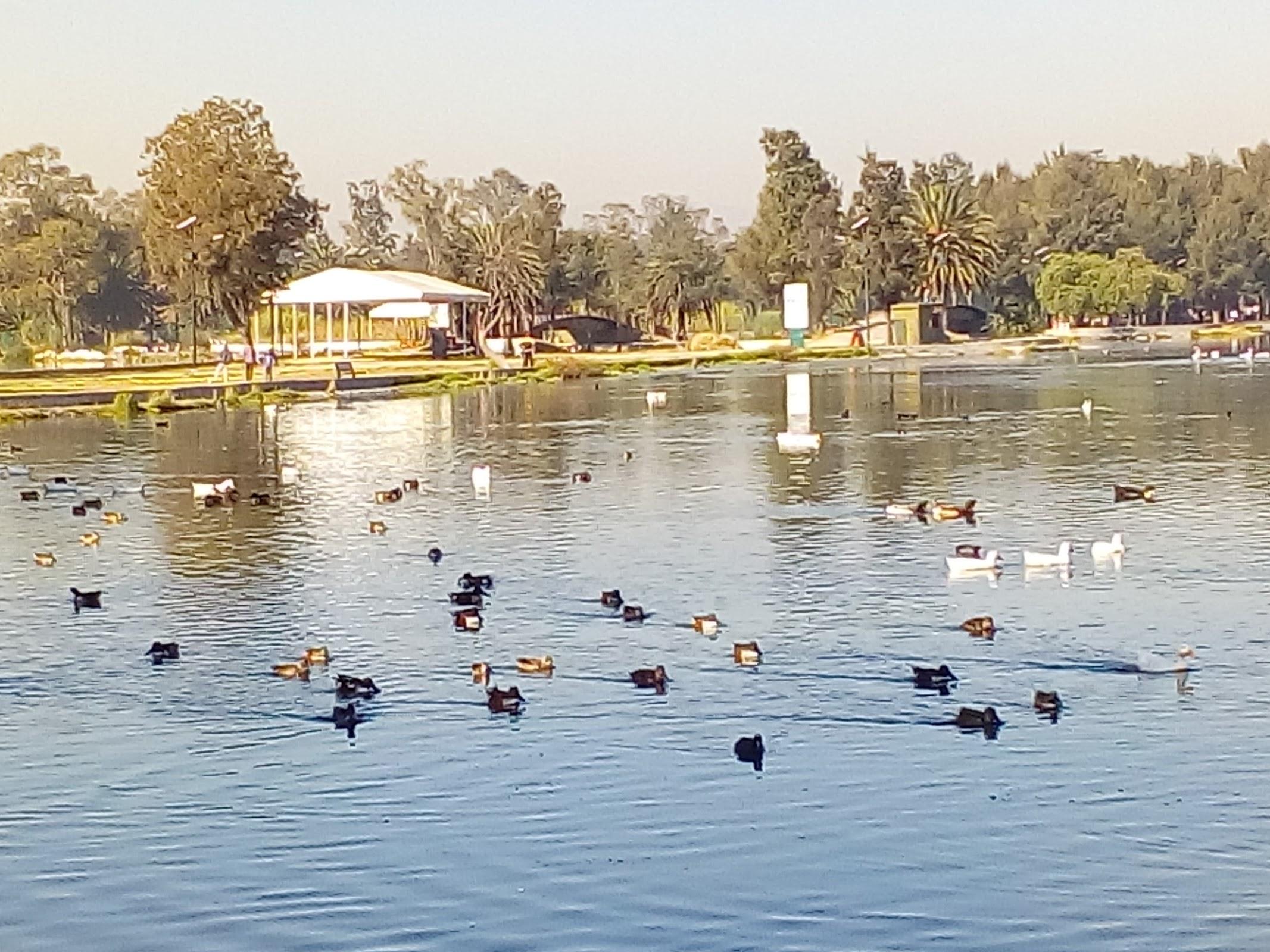 Bosque de San Juan de Aragón galería 5
