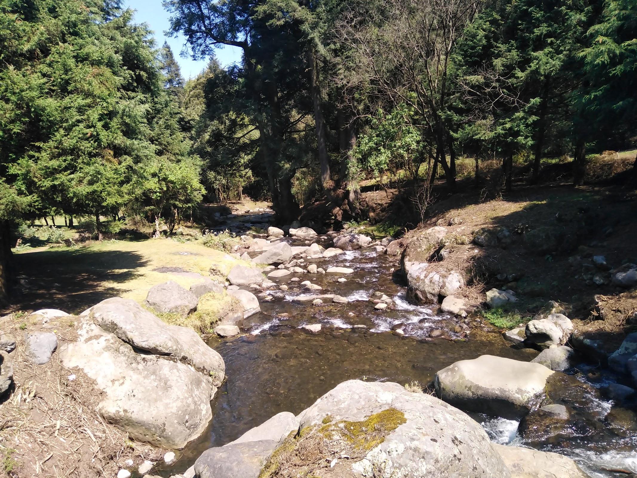 Los Dinamos en Ciudad de México