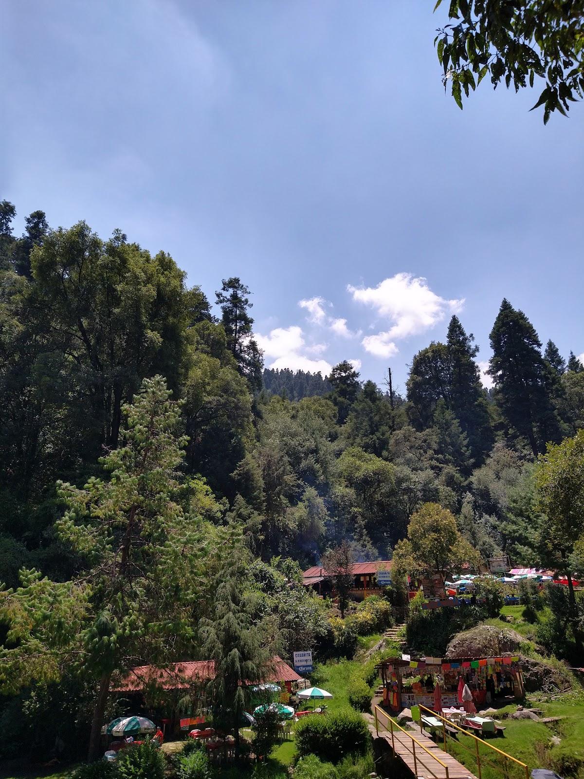 Los Dinamos galería 3