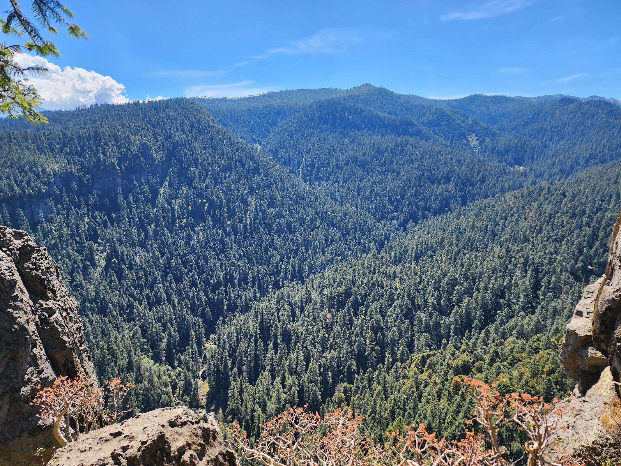 Los Dinamos galería 4