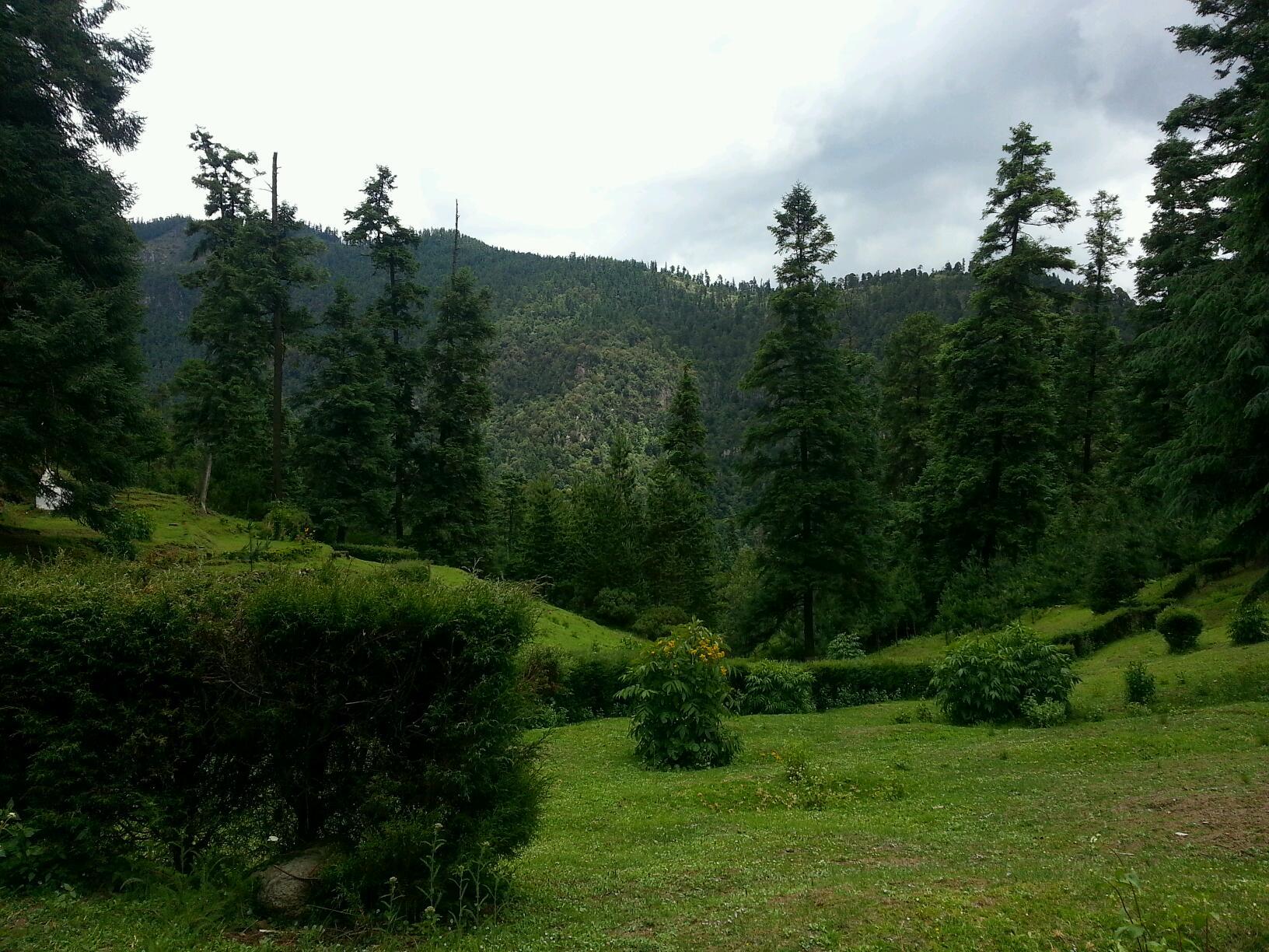 Los Dinamos galería 5