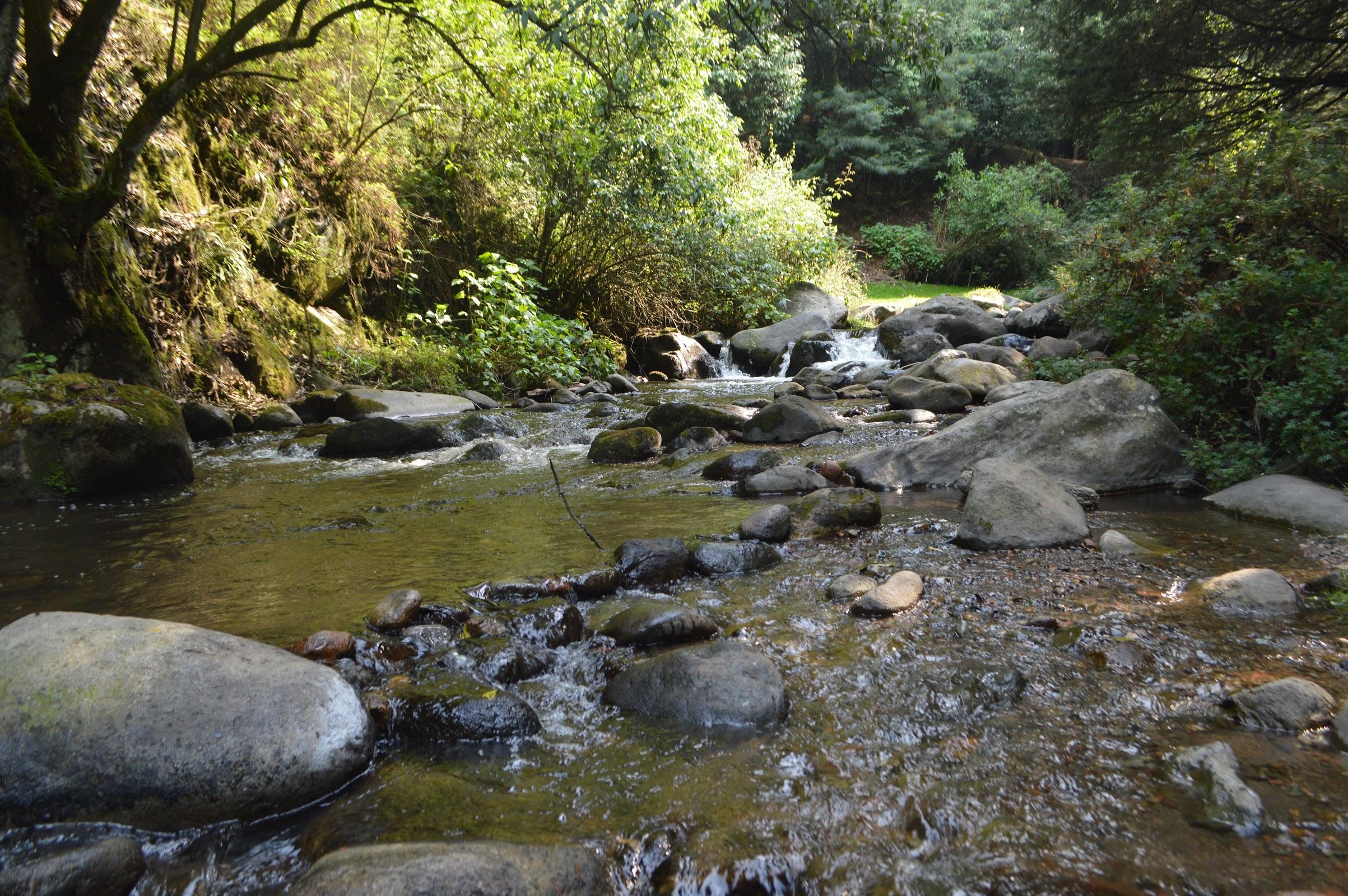 Los Dinamos galería 6