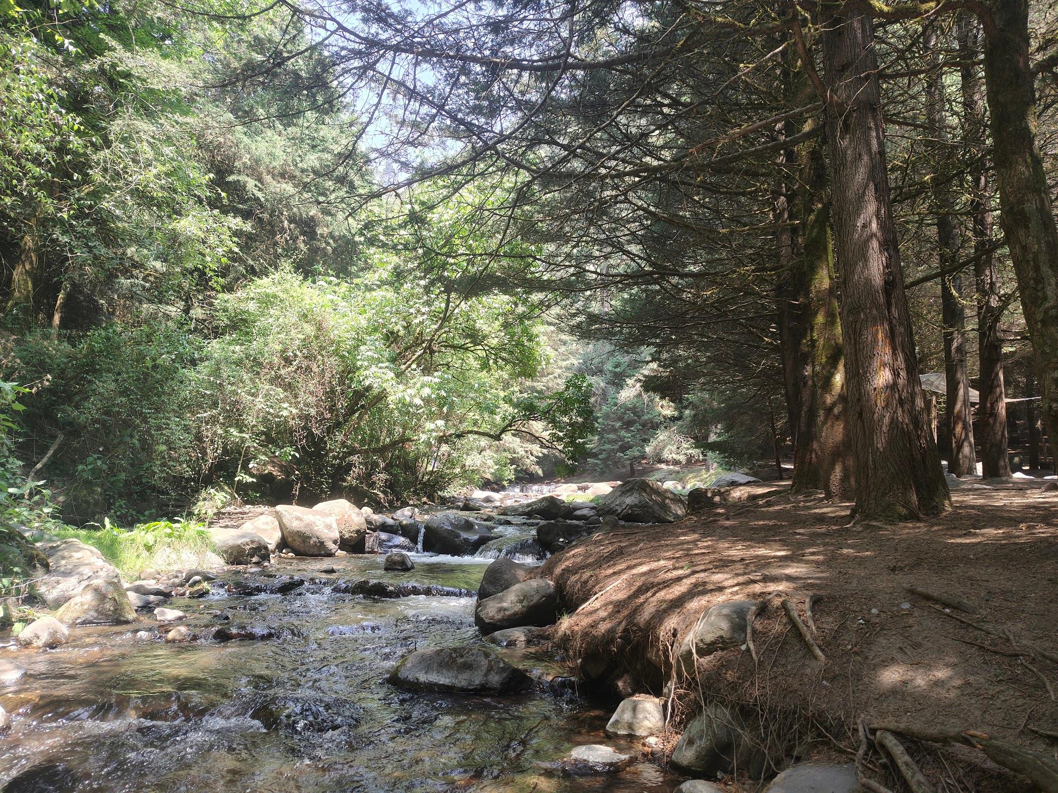 Los Dinamos galería 7