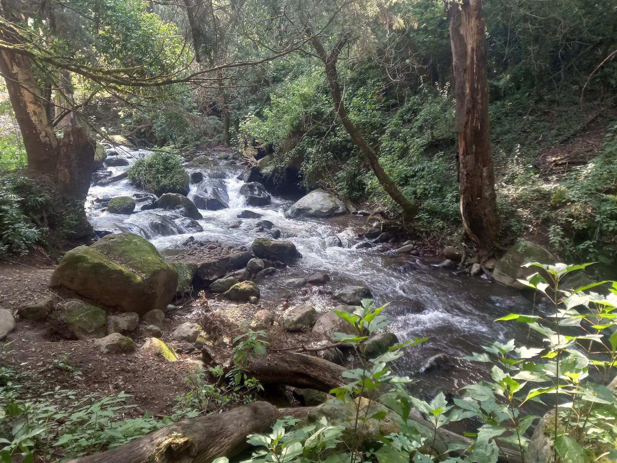 Los Dinamos galería 8