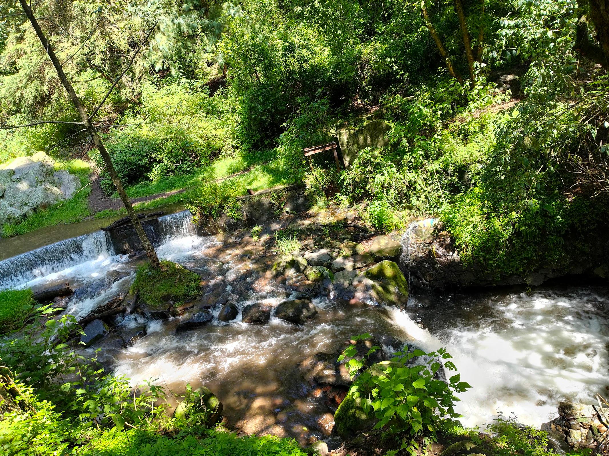 Los Dinamos galería 9