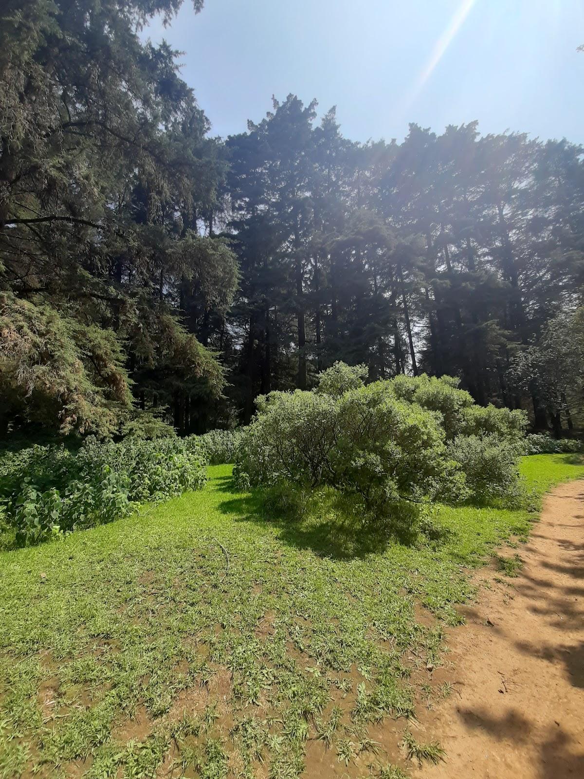 Los Dinamos galería 10