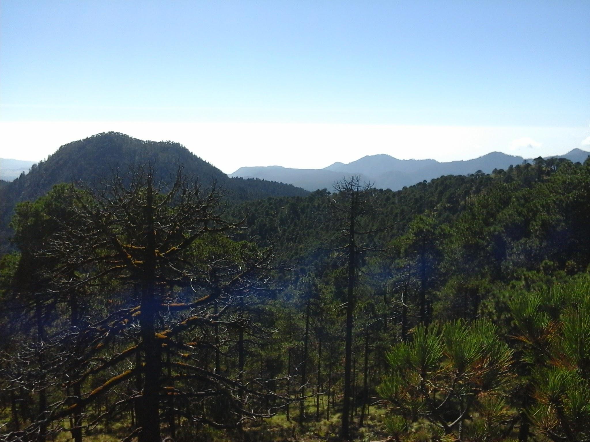 Parque Nacional Cumbres del Ajusco galería 2