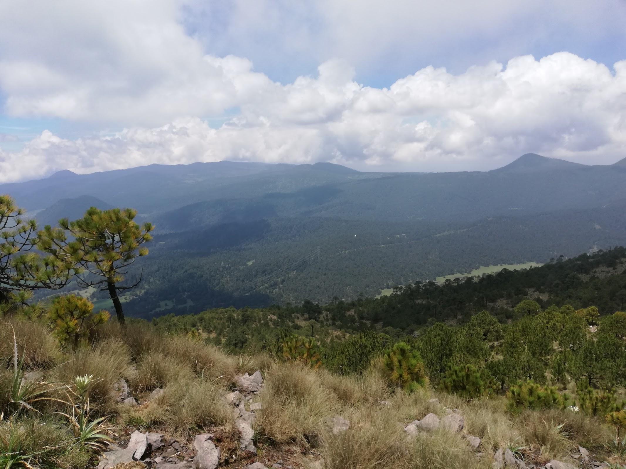 Parque Nacional Cumbres del Ajusco galería 6