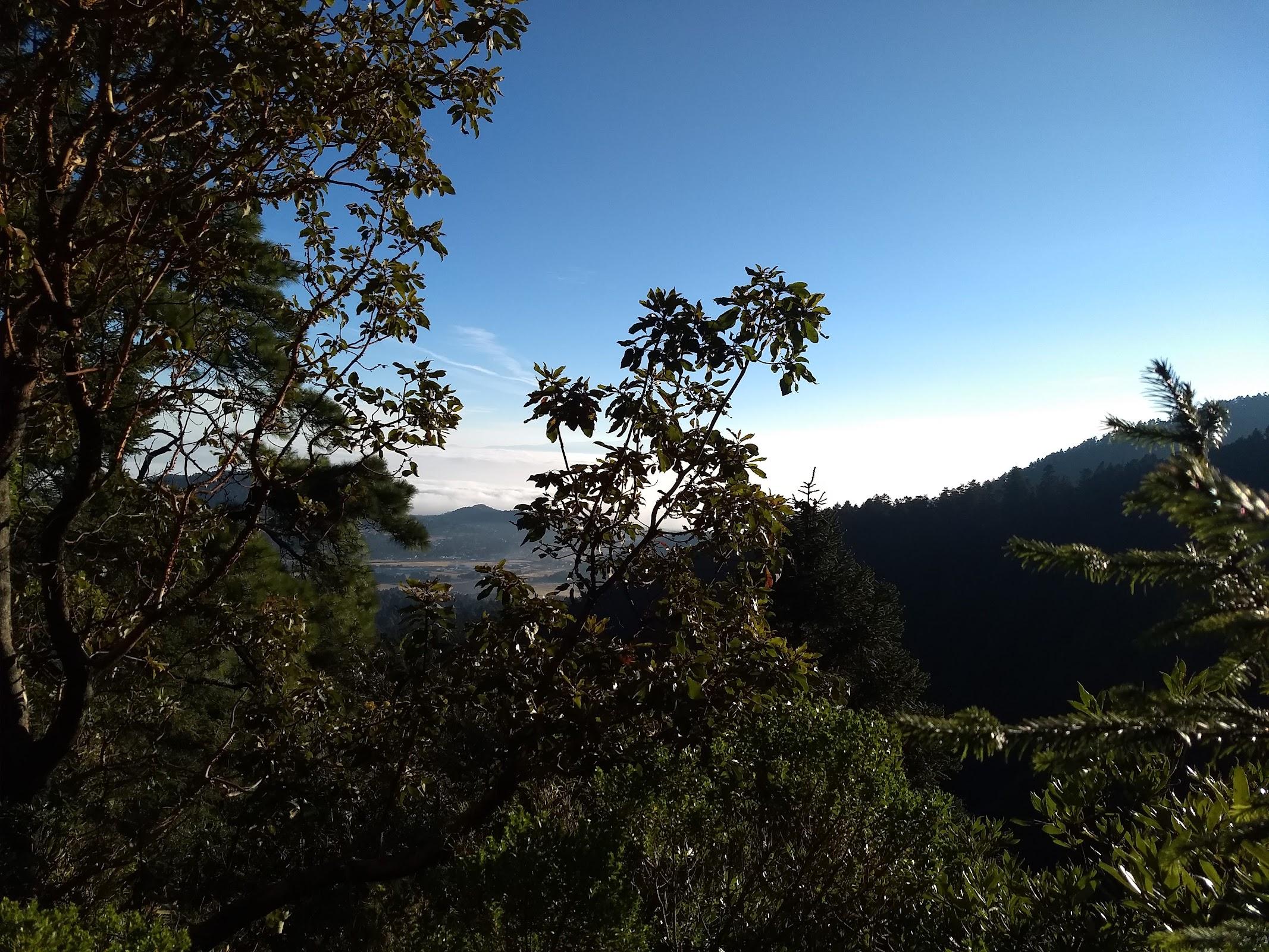 Parque Nacional Cumbres del Ajusco galería 10