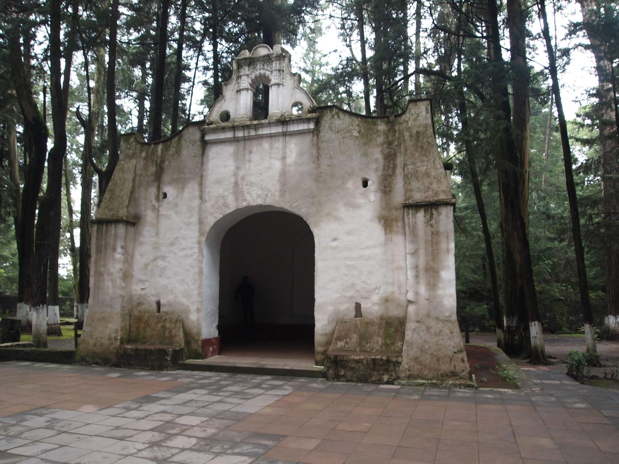 Parque nacional Desierto de los Leones en Ciudad de Mexico