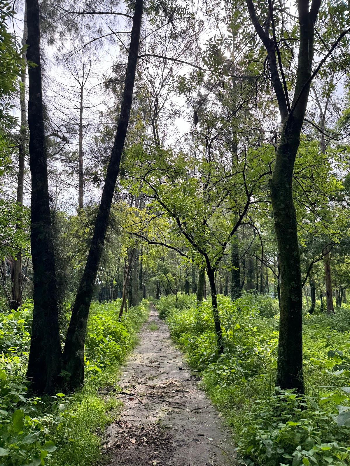 Parque Ecológico Las Águilas en Ciudad de México
