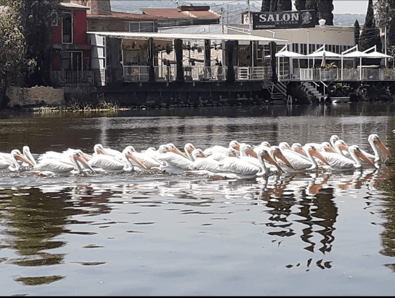 Lago de Los Reyes galería 6