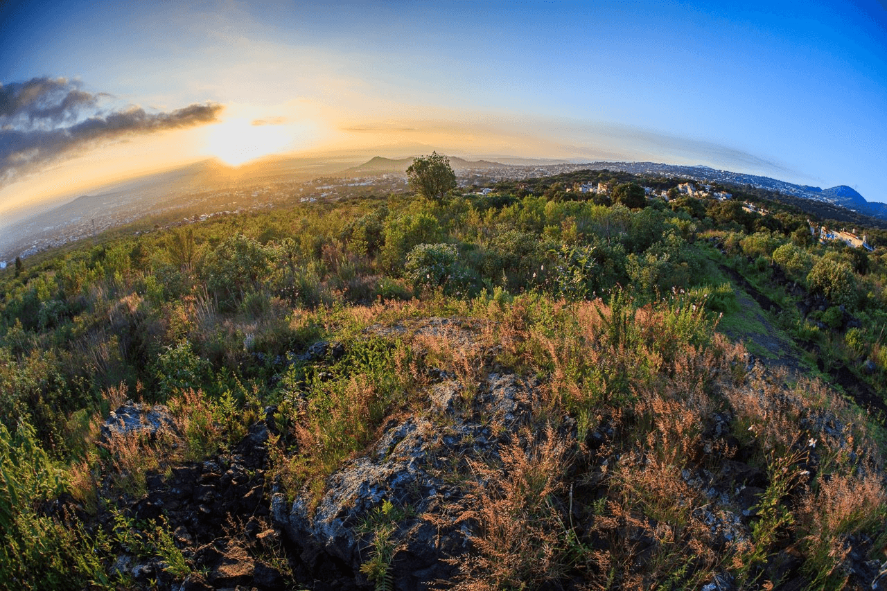 Área Natural Protegida Parque Ecológico de la Ciudad de México en Ciudad de México