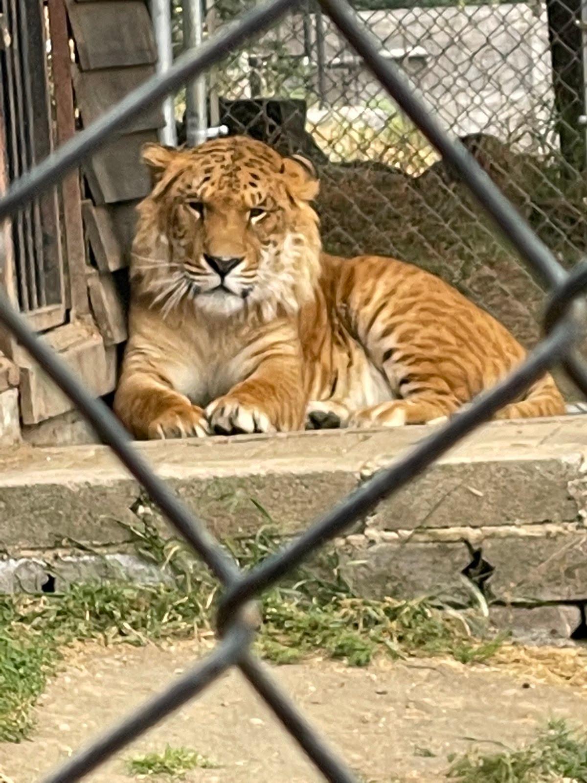 Rancho Mágico galería 4