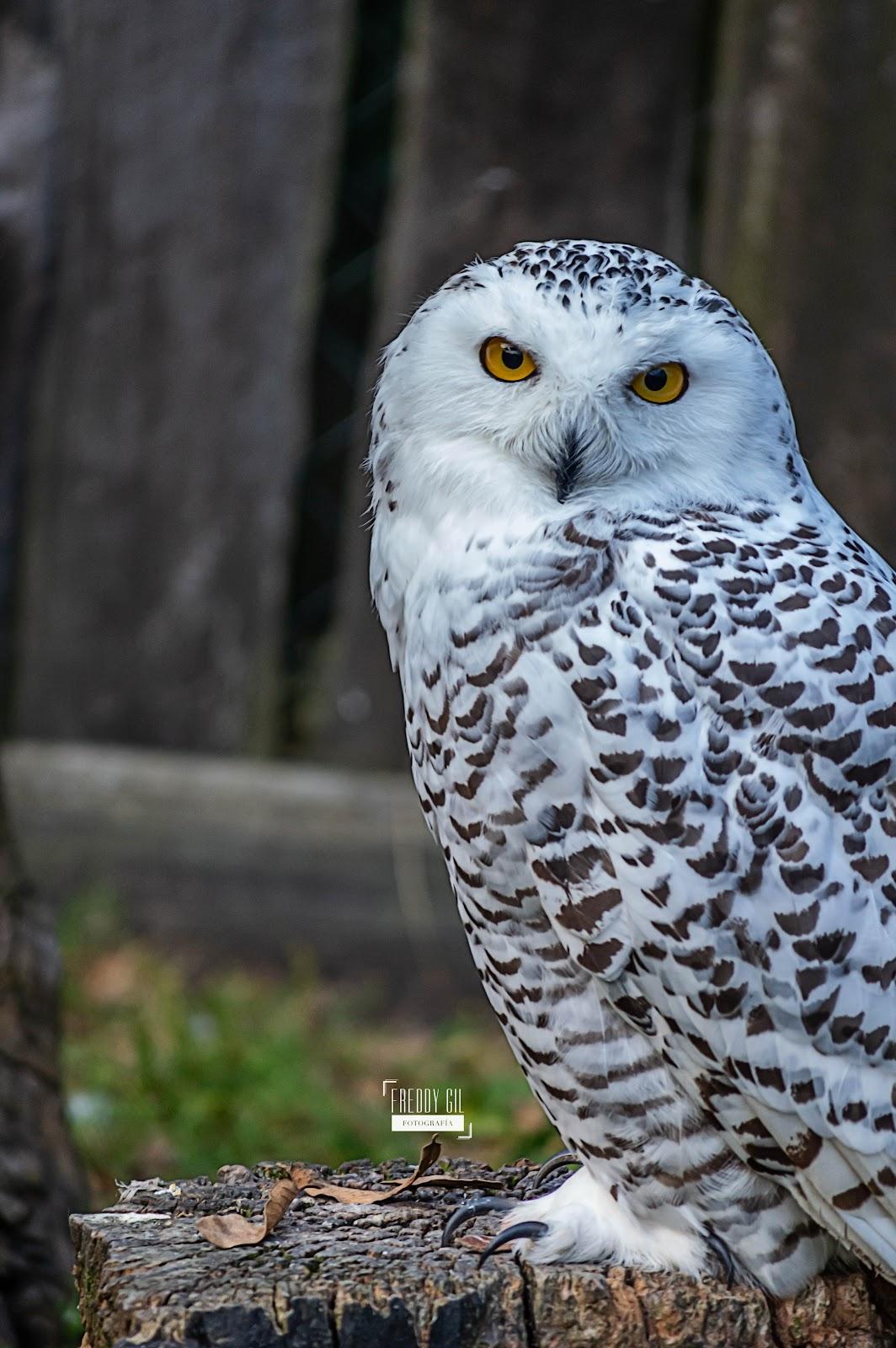 Rancho Mágico galería 5