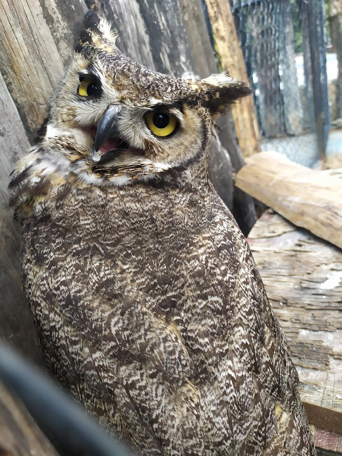 Rancho Mágico galería 8