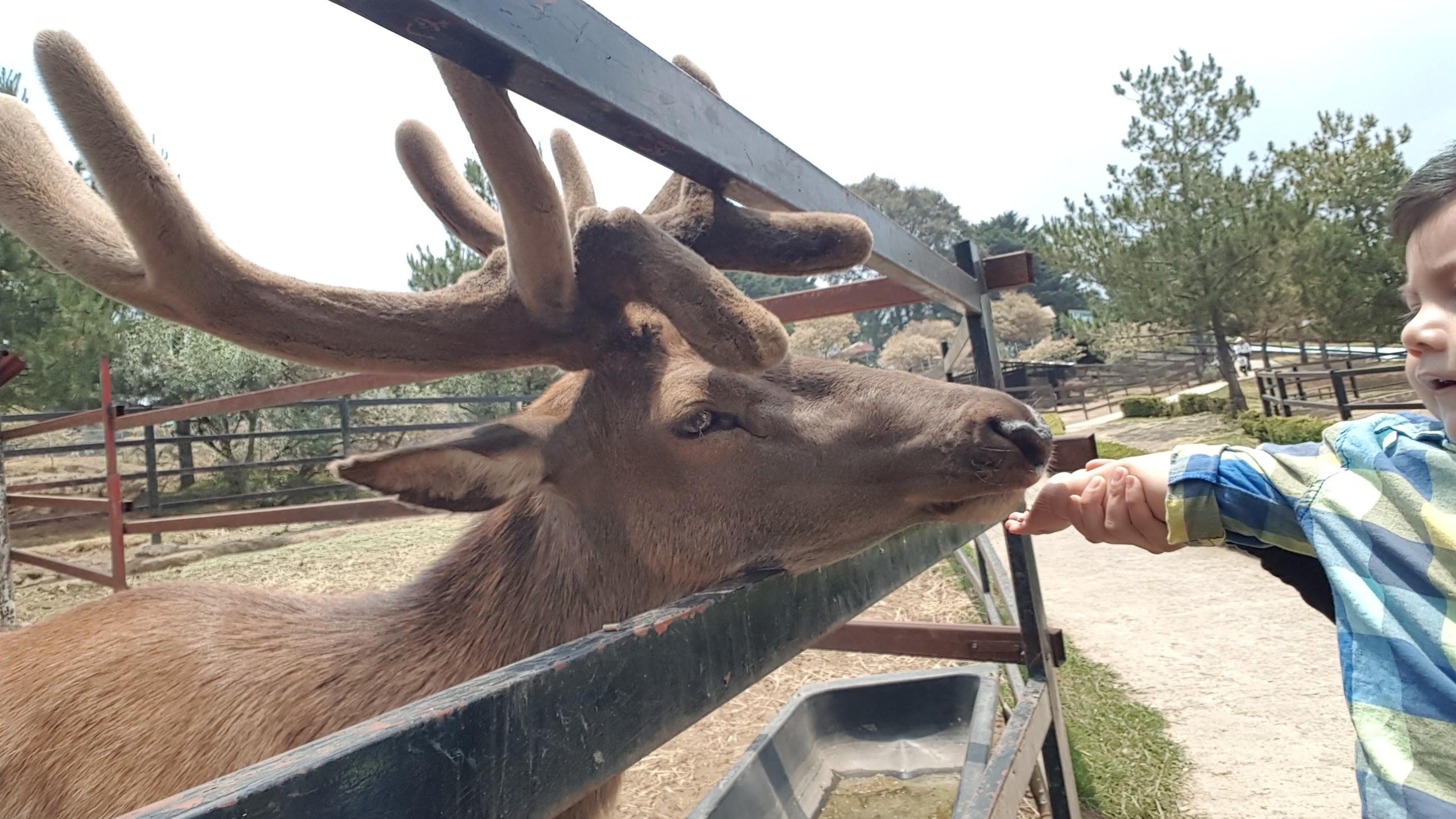 Rancho Mágico galería 9