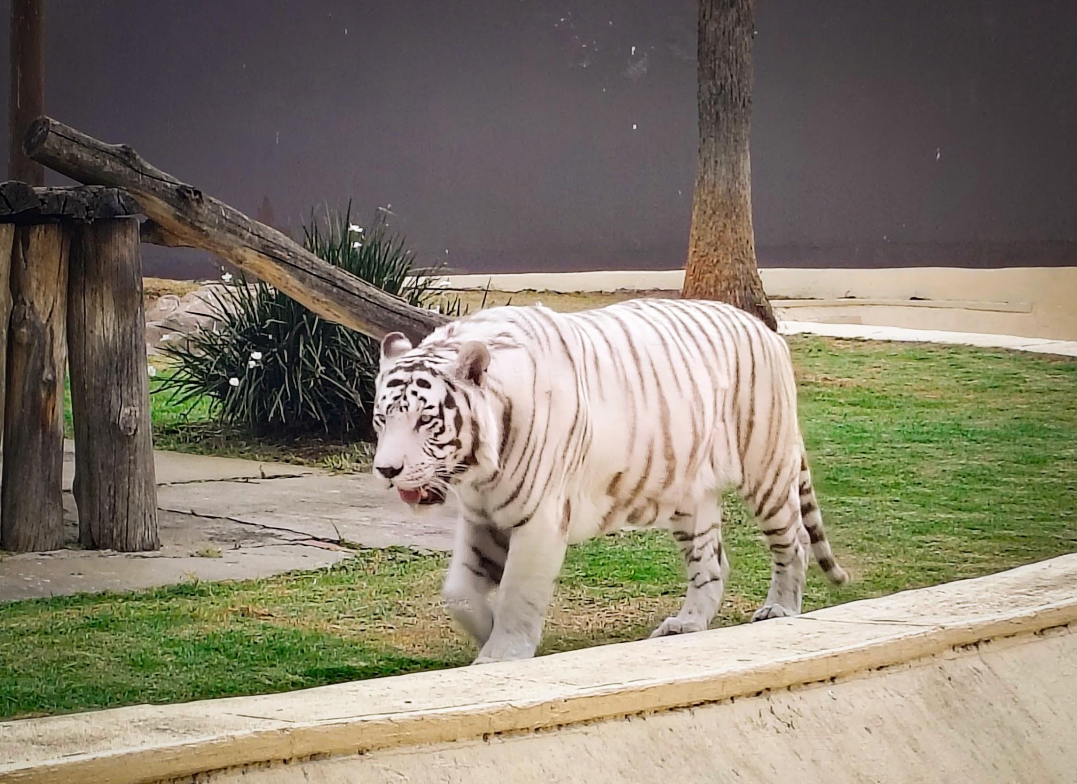 Zoológico San Juan de Aragón galería 4