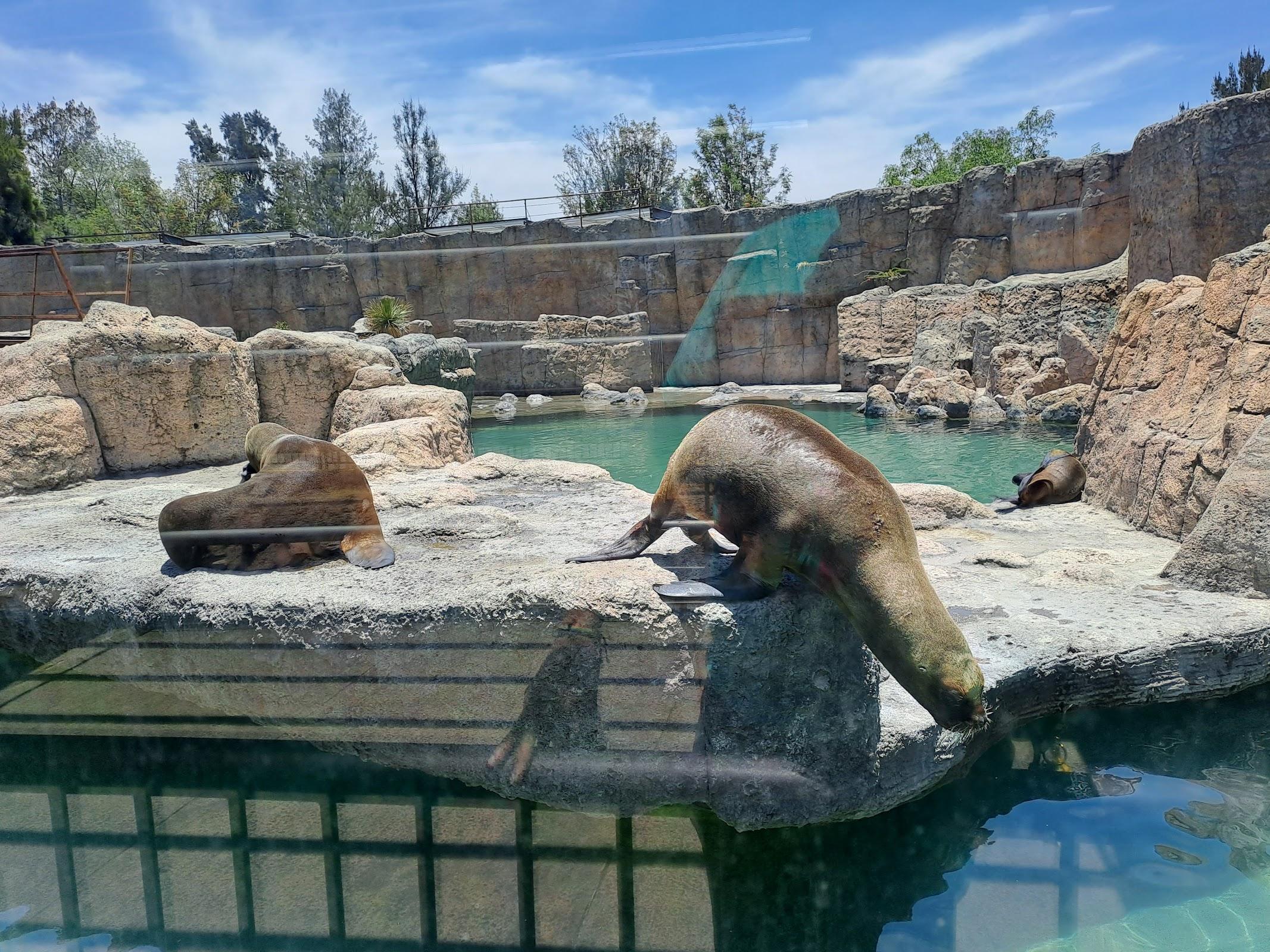 Zoológico San Juan de Aragón galería 5