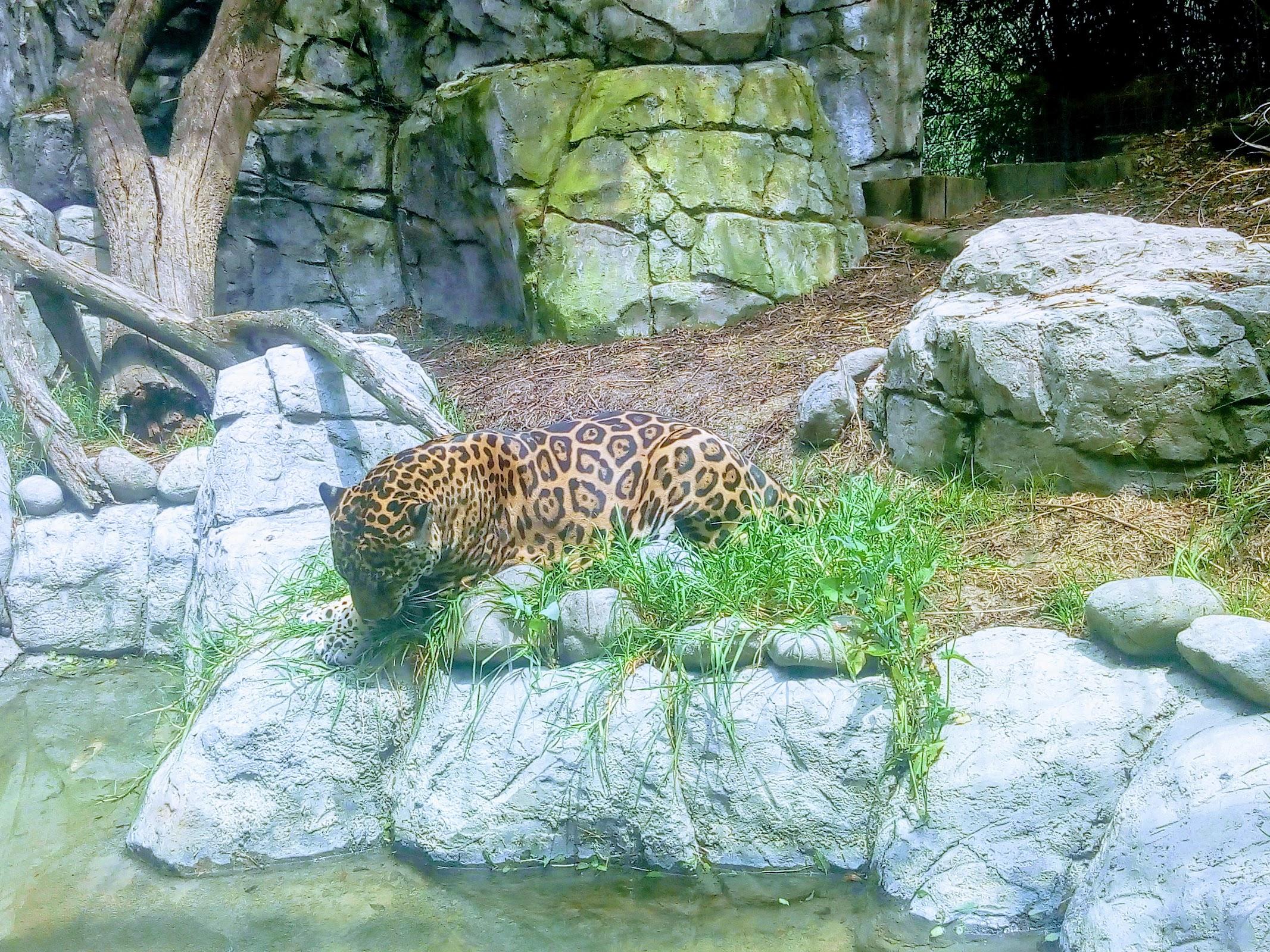 Zoológico San Juan de Aragón galería 9